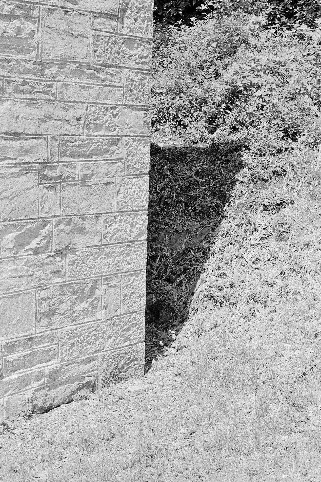 Massao Mascaro — Jardin