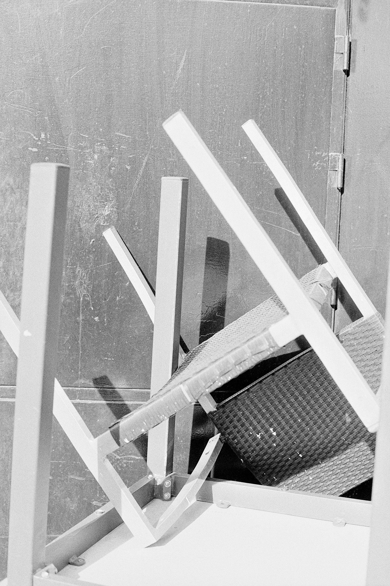 Massao Mascaro — Jardin