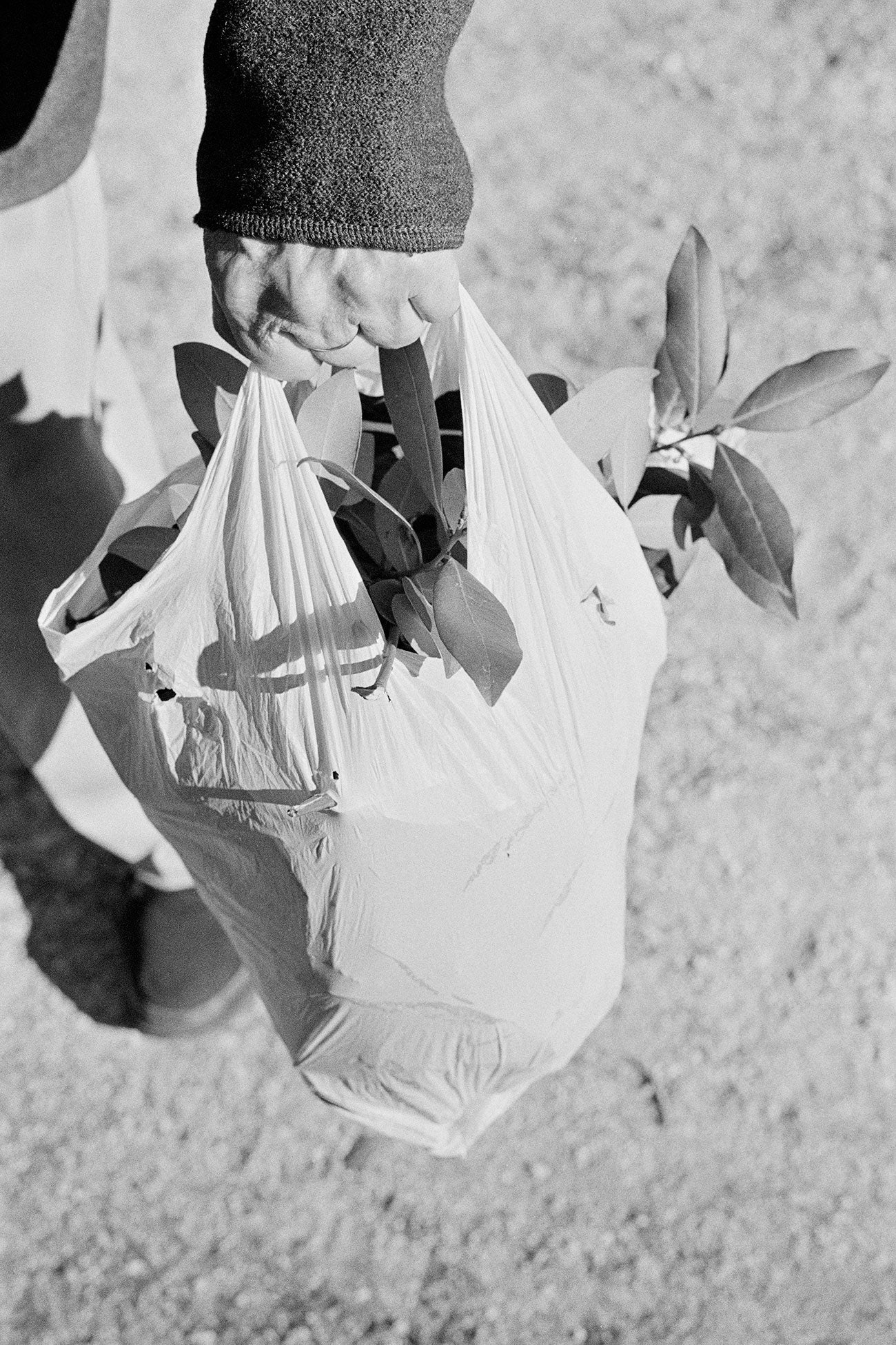 Massao Mascaro — Jardin