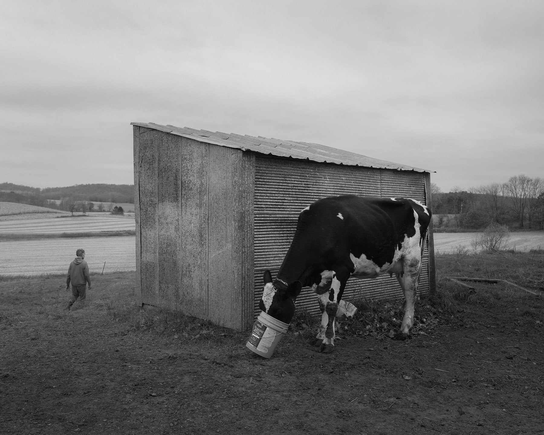 Erinn Springer — Dormant Season