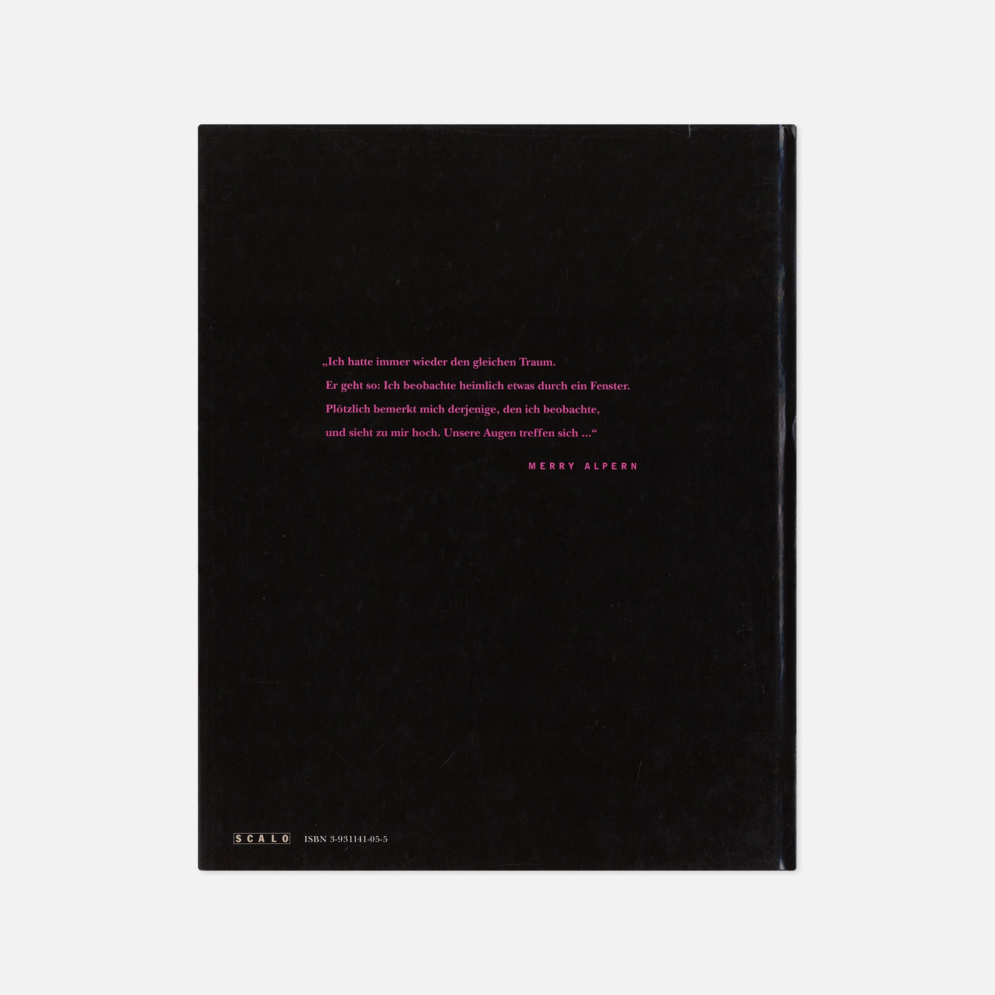 Merry Alpern — Fenster zur Wall Street (Dirty Windows)
