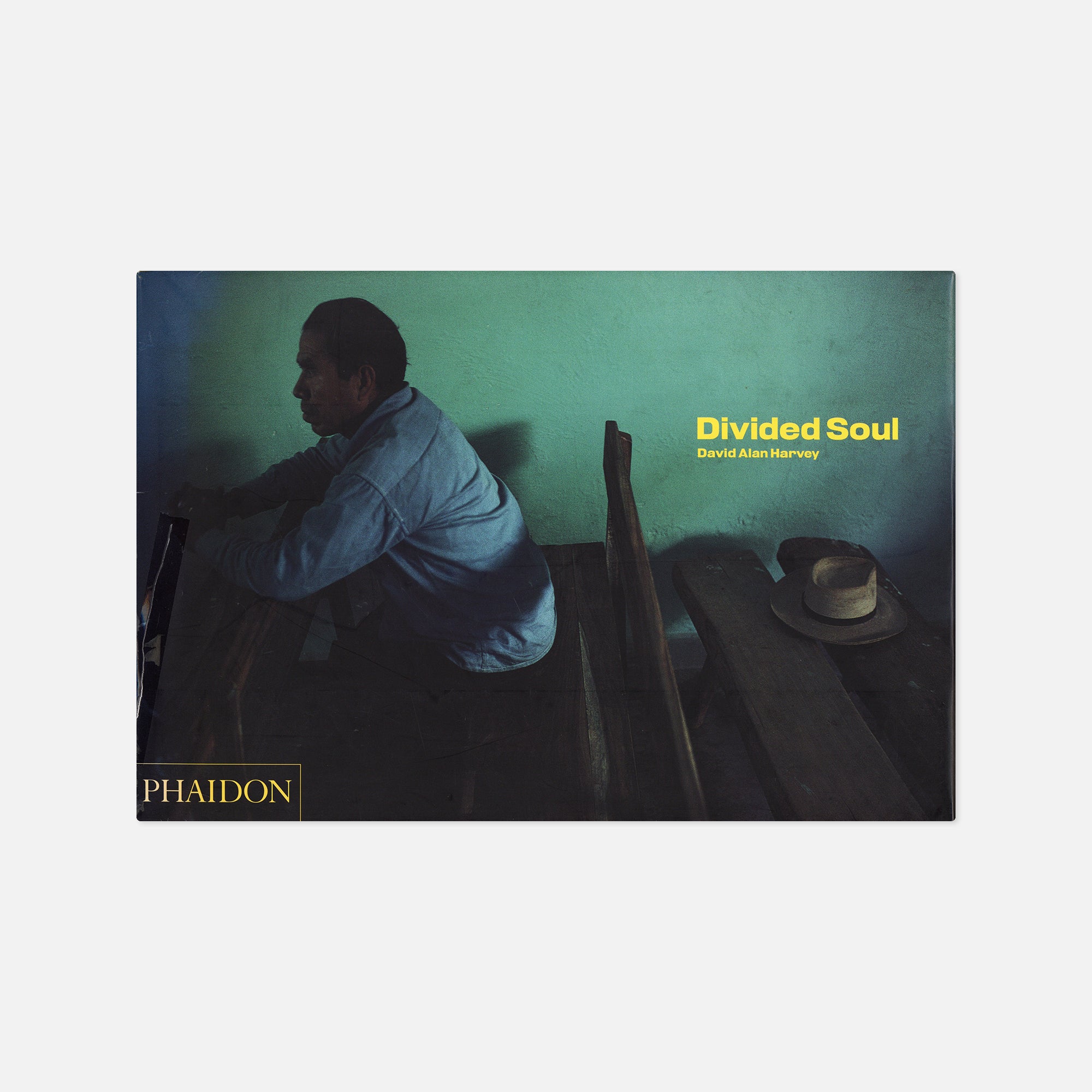 David Alan Harvey — Divided Soul – Wolf Books