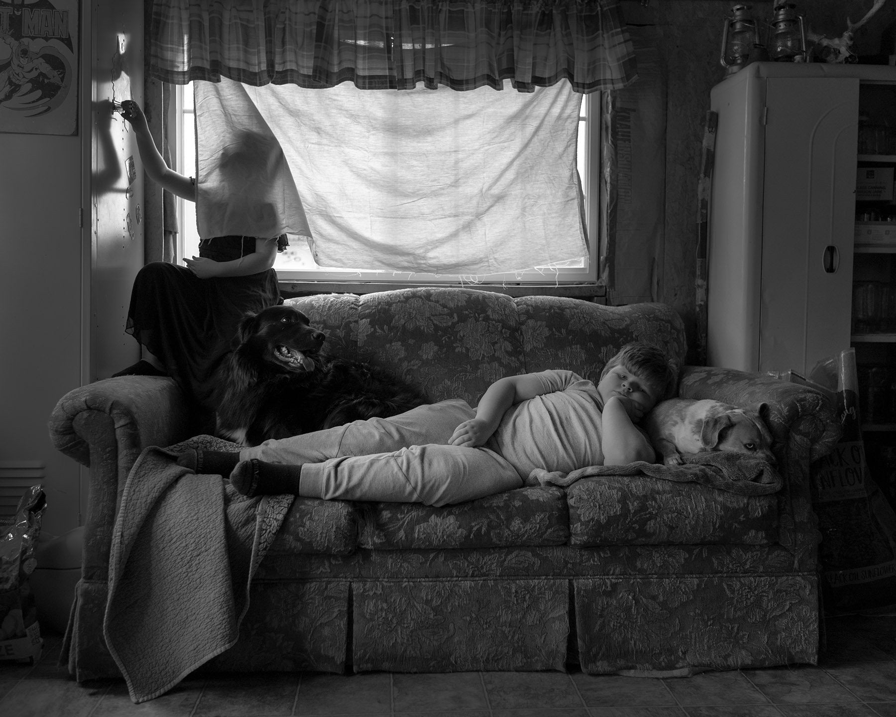 Erinn Springer — Dormant Season