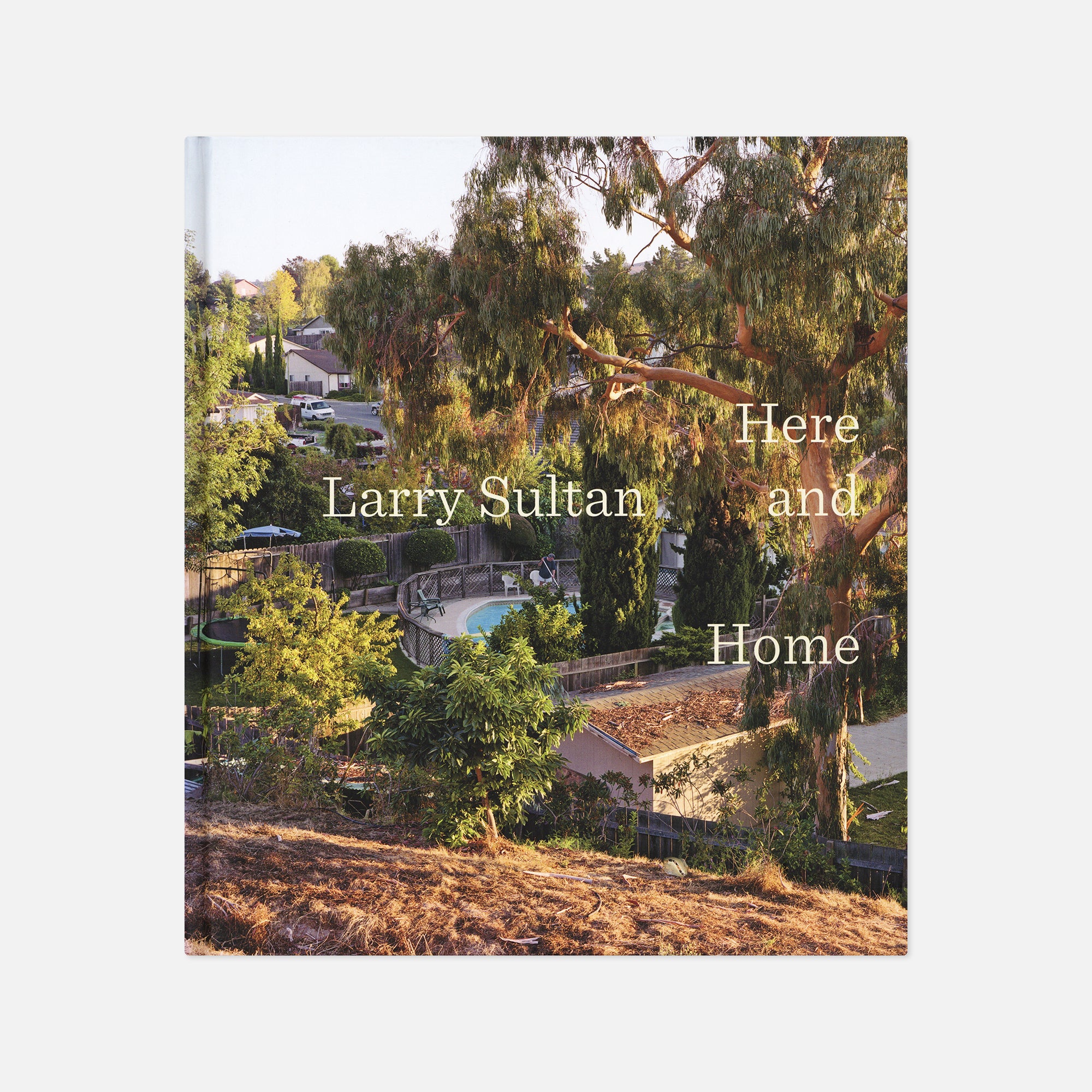 Larry Sultan — Here and Home