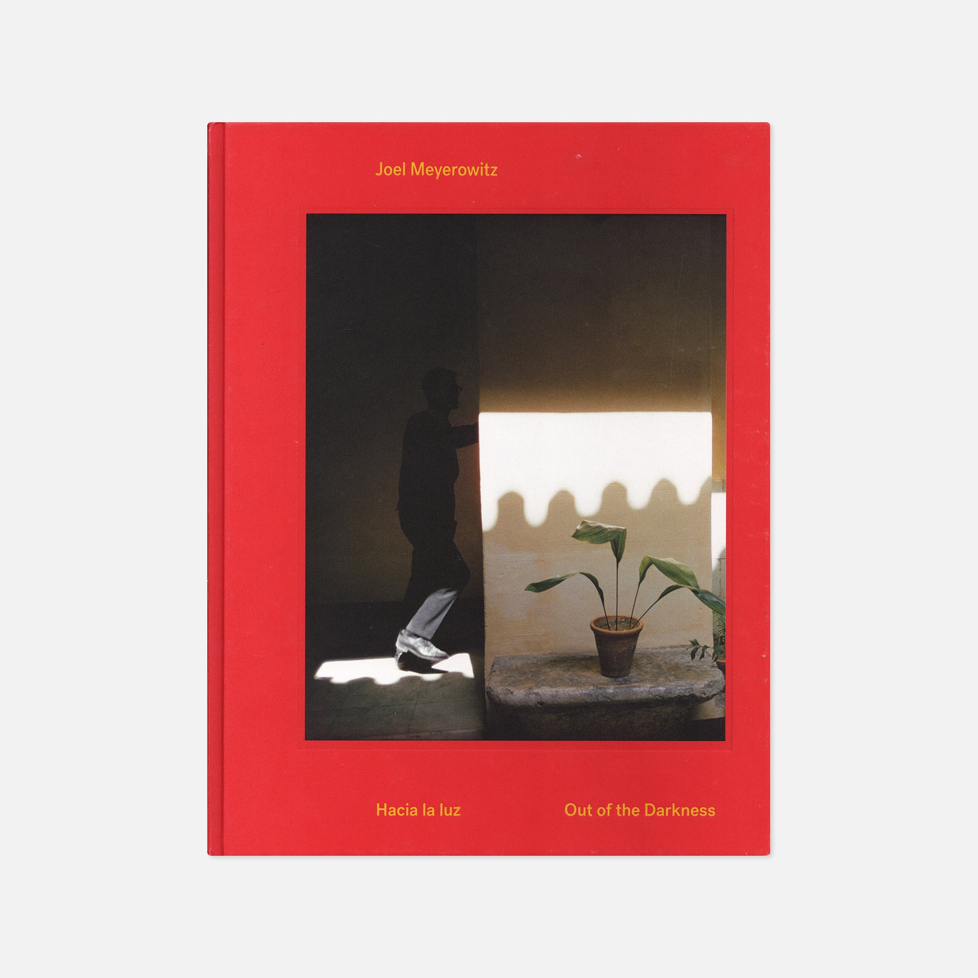 Joel Meyerowitz Out Of The Darkness Hacia La Luz Wolf Books Joel Meyerowitz Out Of The Darkness Hacia La Luz Wolf Books