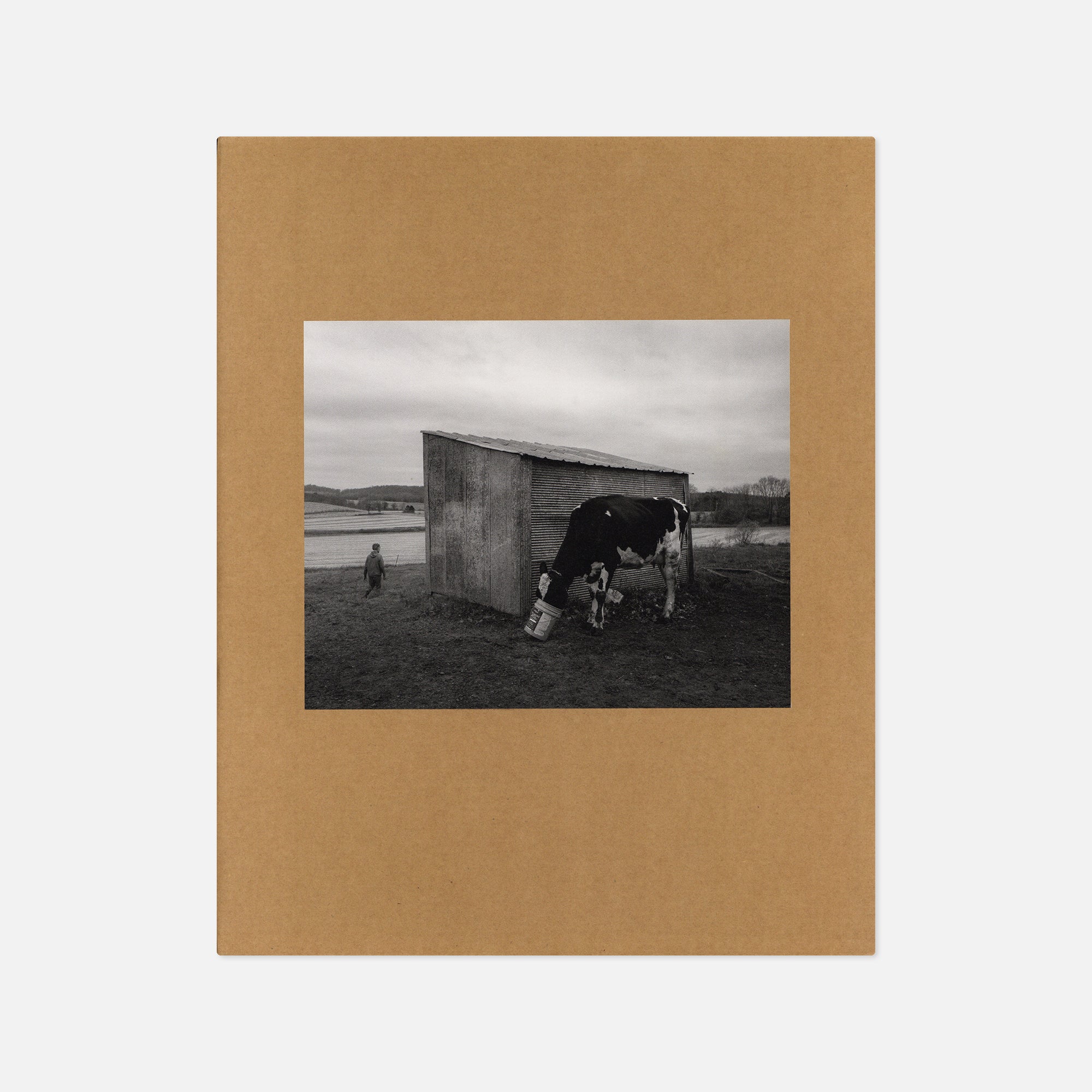 Erinn Springer — Dormant Season