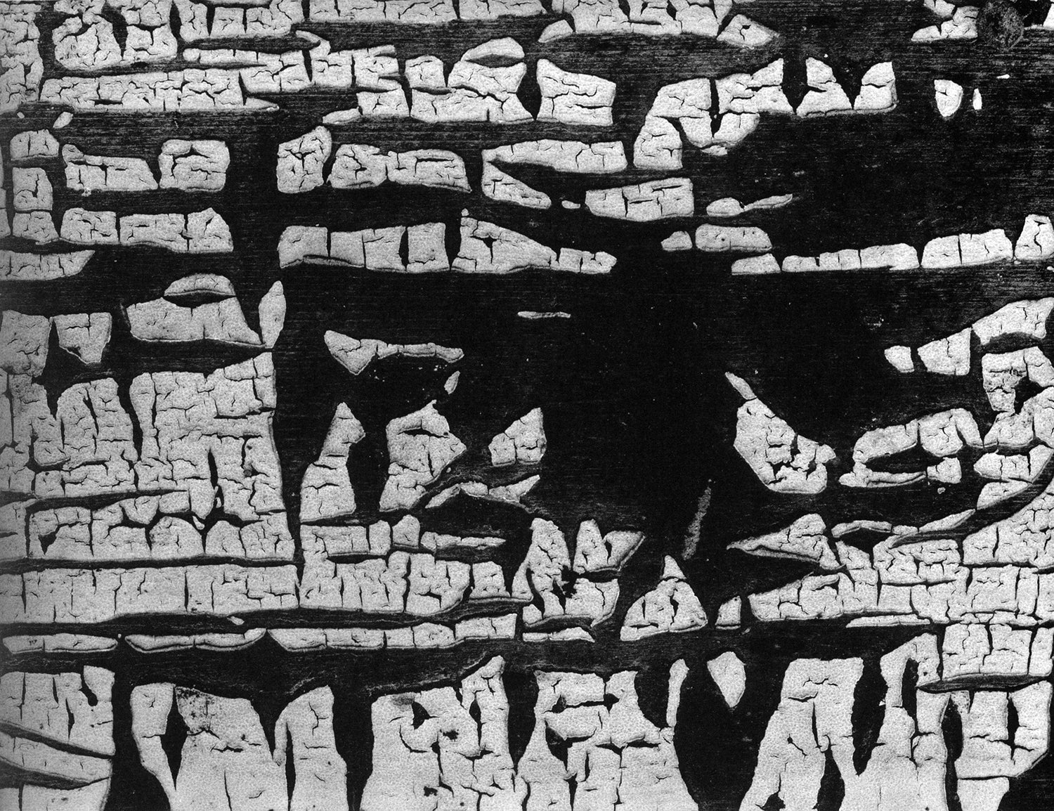Aaron Siskind — 100