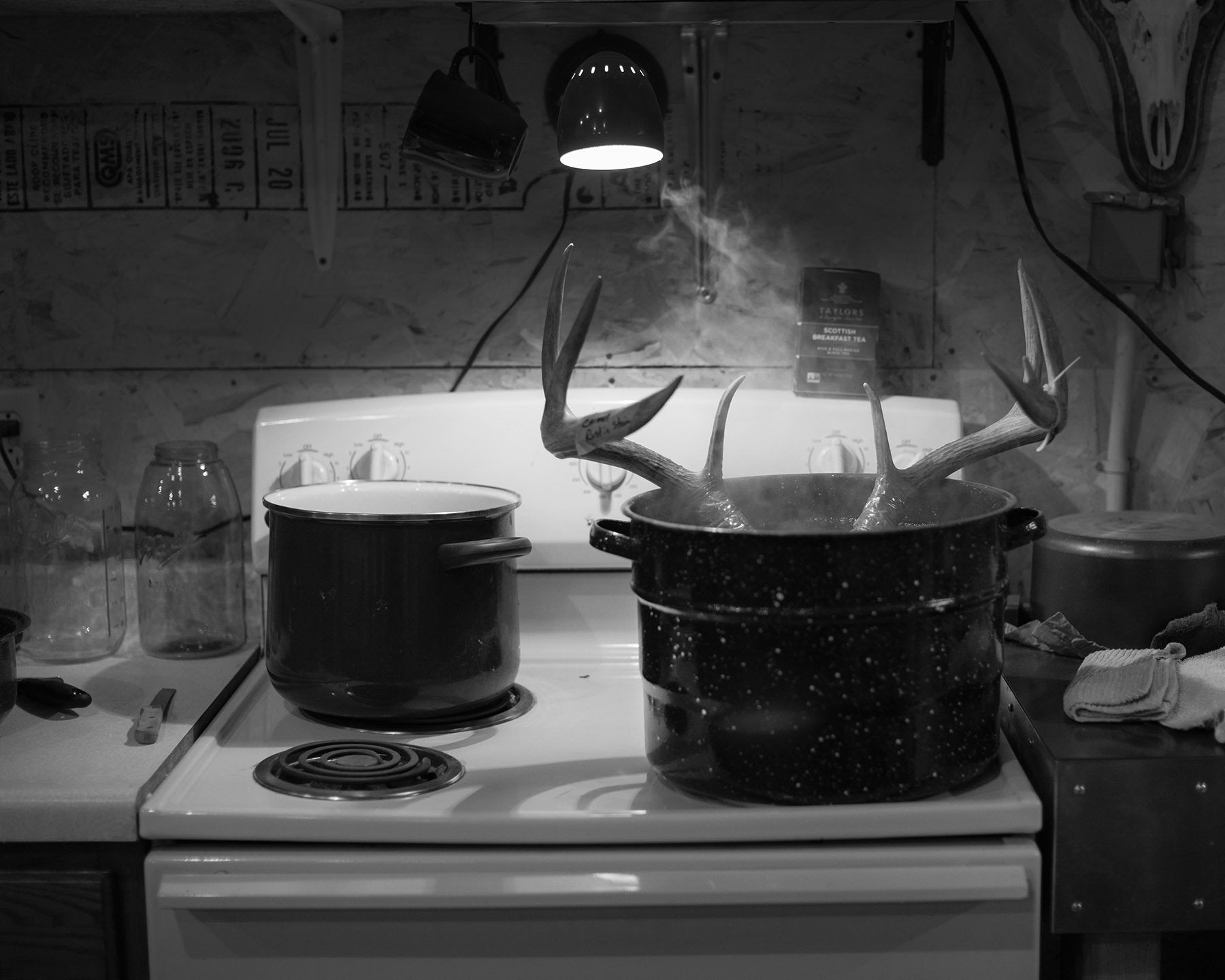 Erinn Springer — Dormant Season