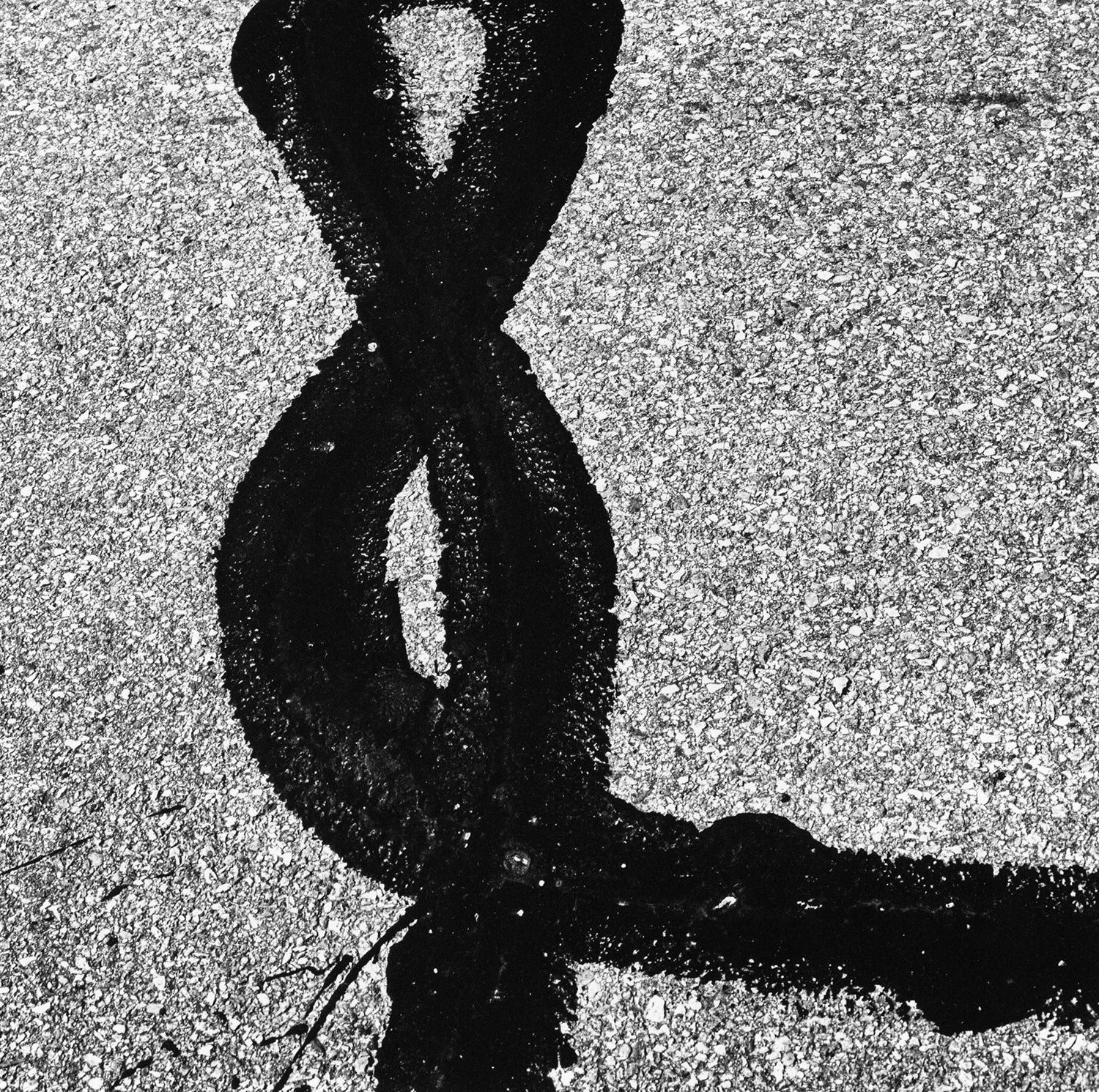 Aaron Siskind — 100