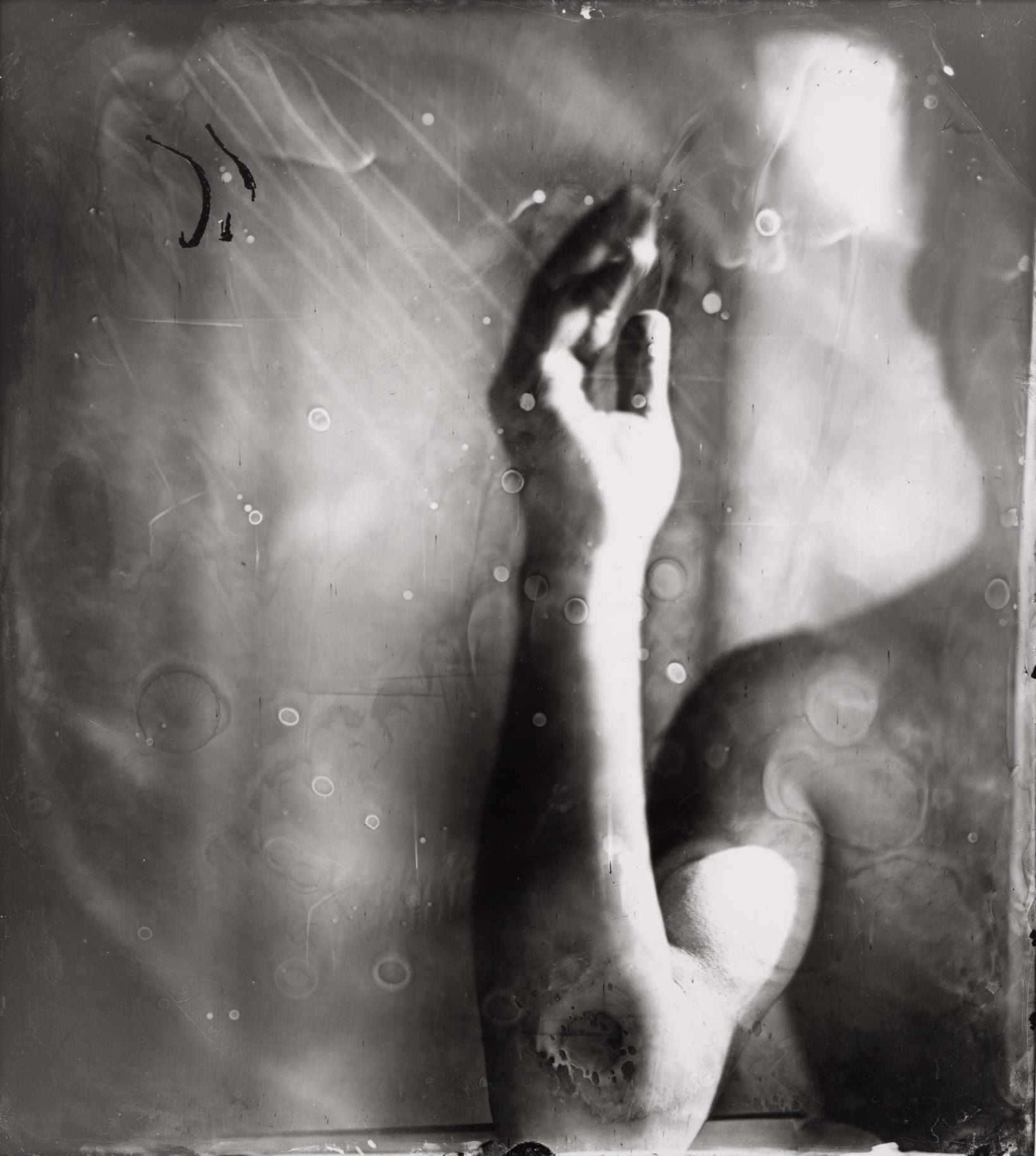 Sally Mann — Proud Flesh