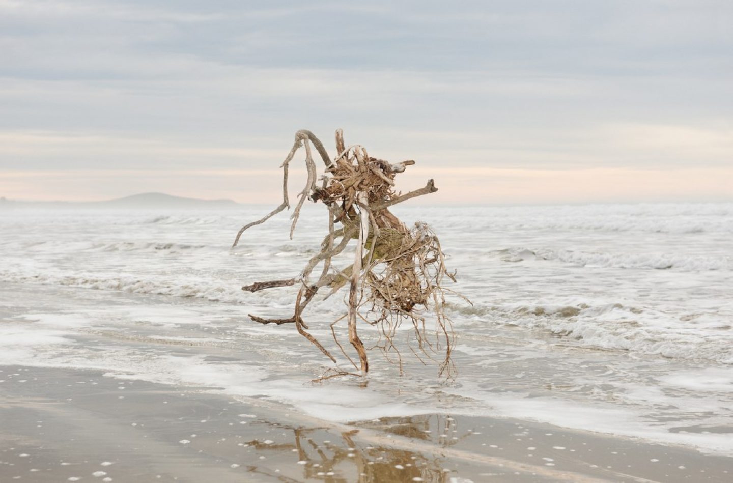 Inka & Niclas Lindergård — The Belt of Venus and the Shadow of the