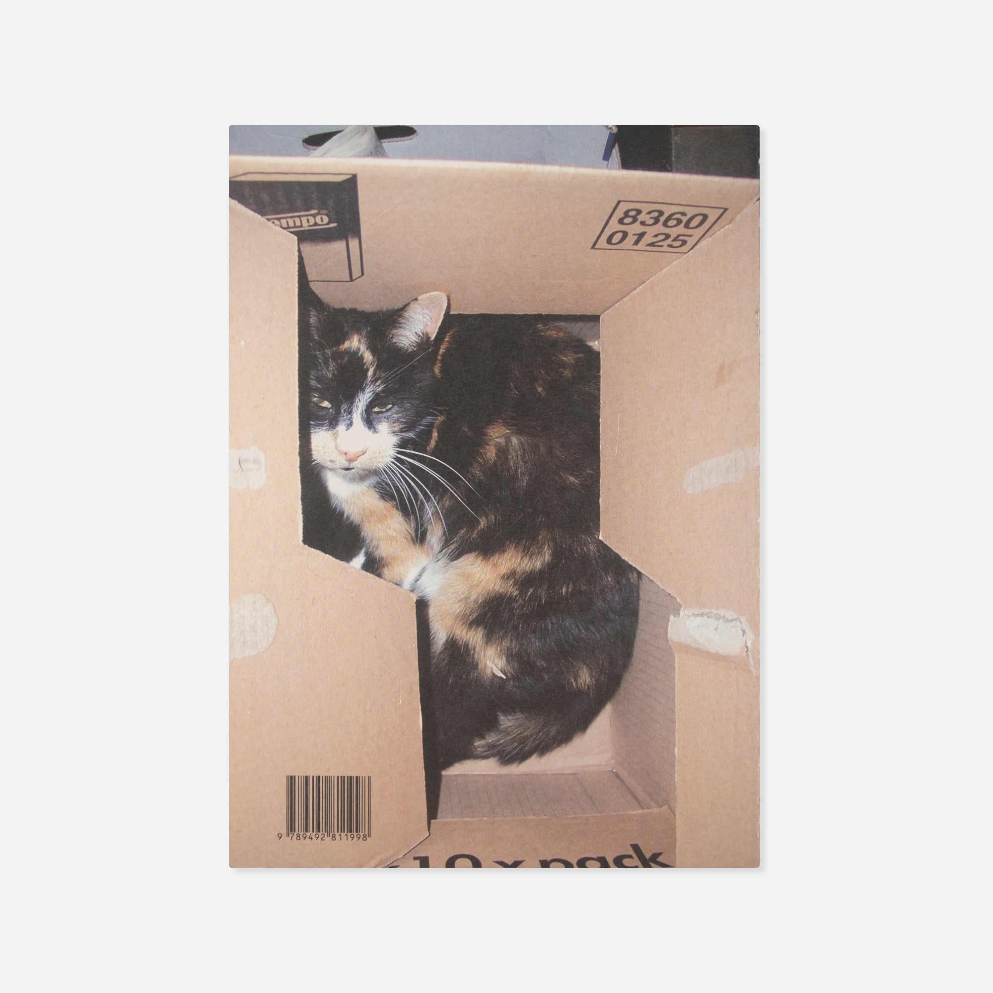Lous Martens — Animal Books for Jaap, Zeno, Anna, Julian & Luca