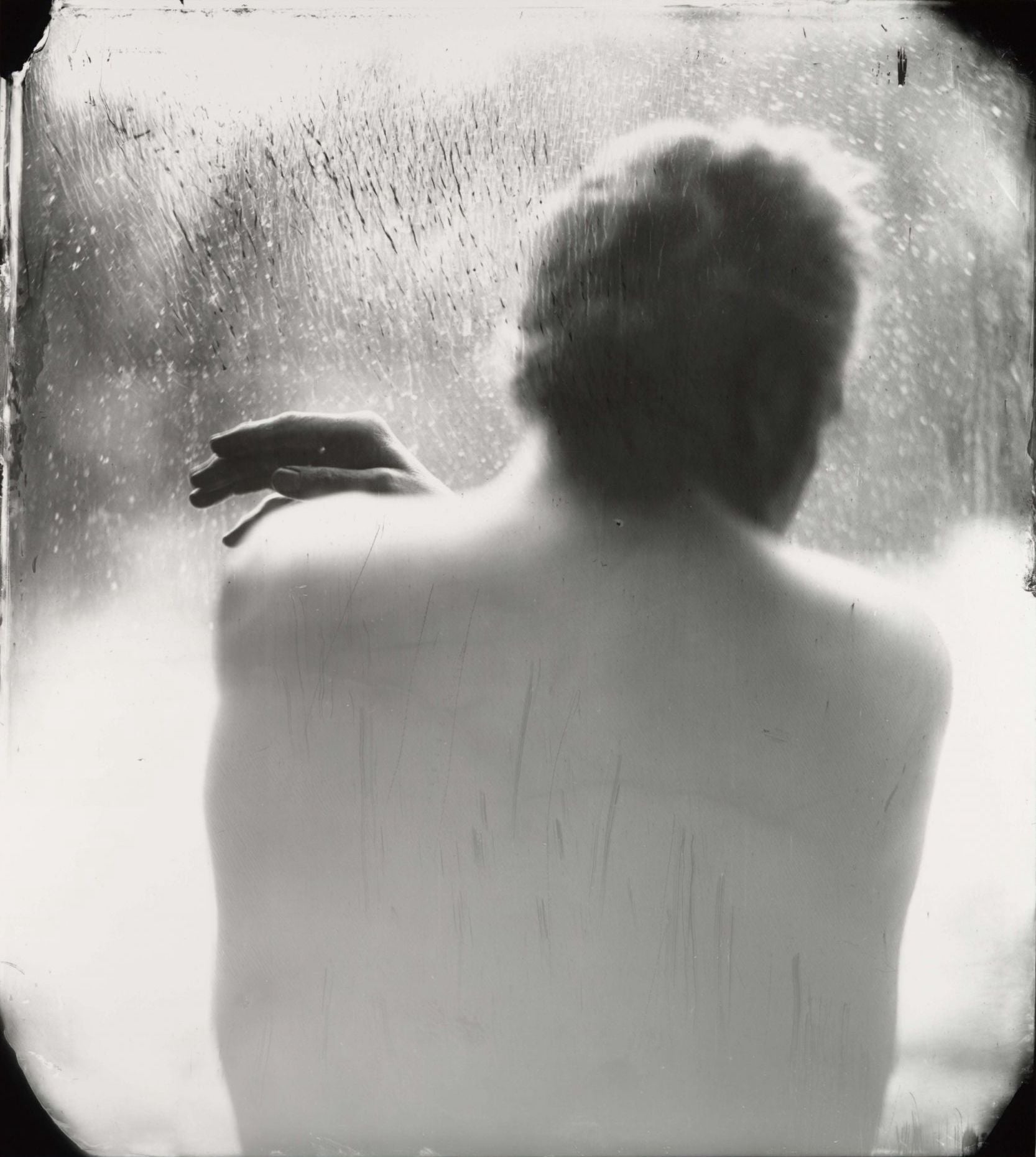 Sally Mann — Proud Flesh