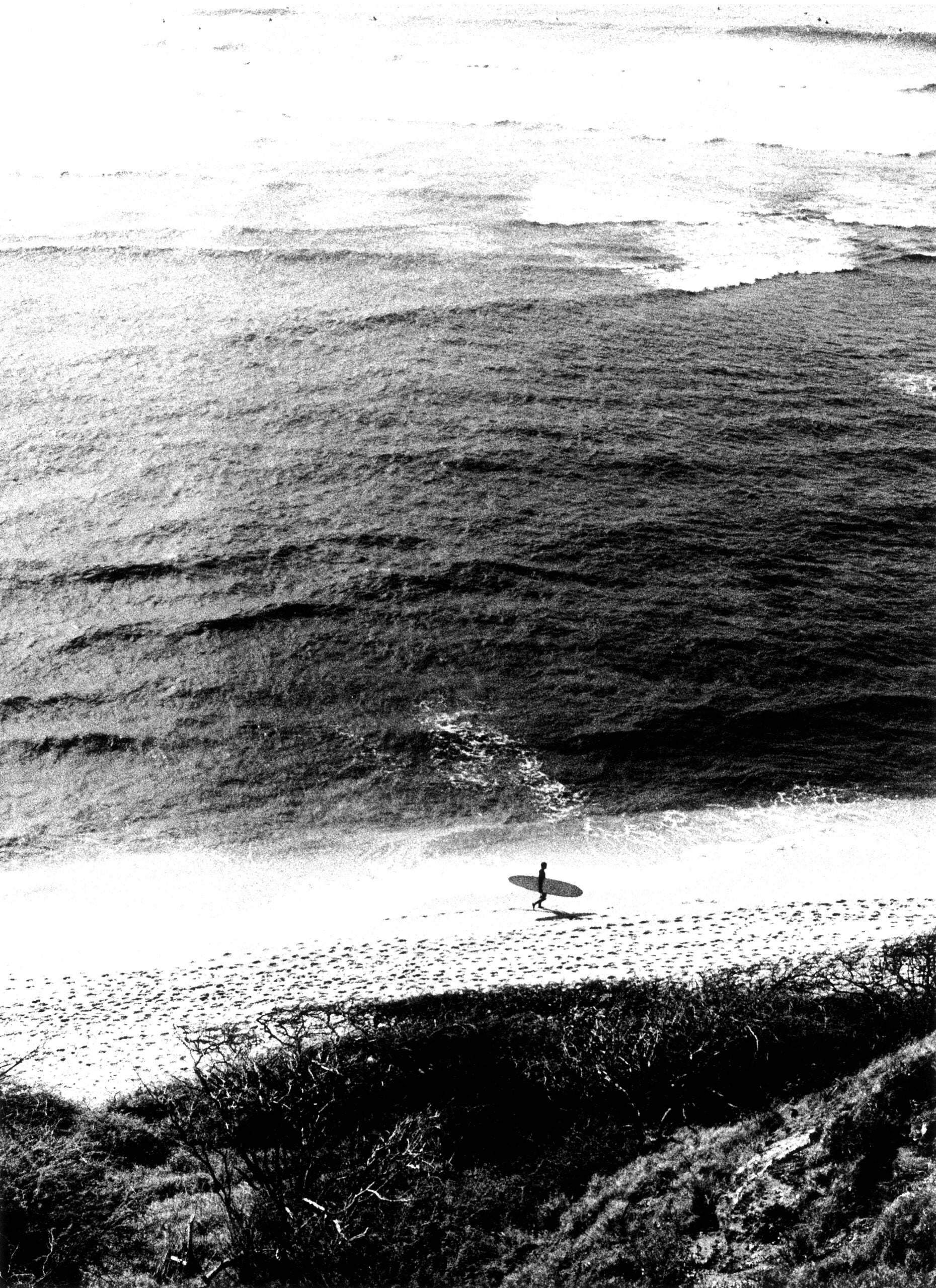Daido Moriyama — Hawaii