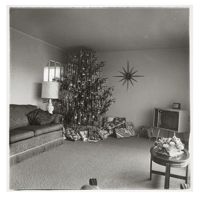 Diane Arbus — A Box of Ten Photographs