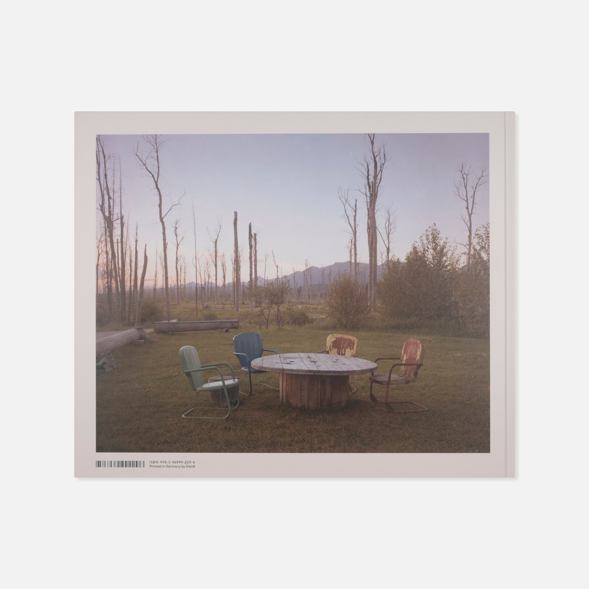 Joel Sternfeld — American Prospects