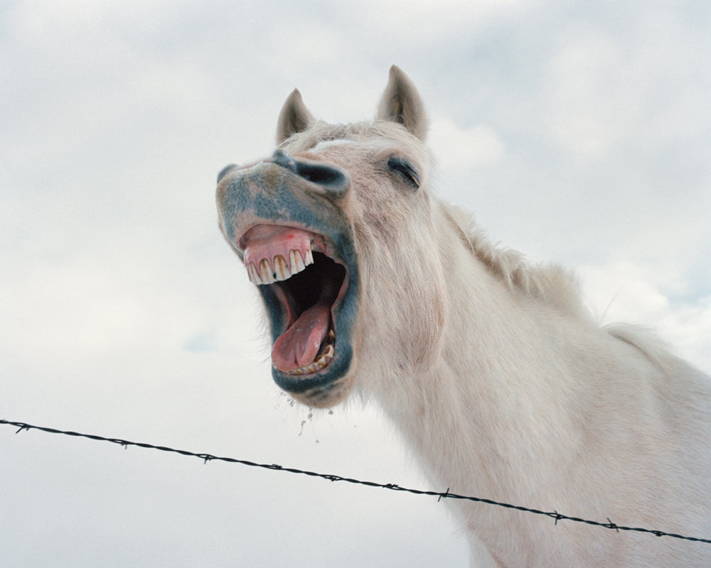 Amanda Boe, McNair Evans, Kevin Kunishi, Jason Fulford, Todd Hido, Mark Mahaney, Mike Smith & Alec Soth — Begin Anywhere