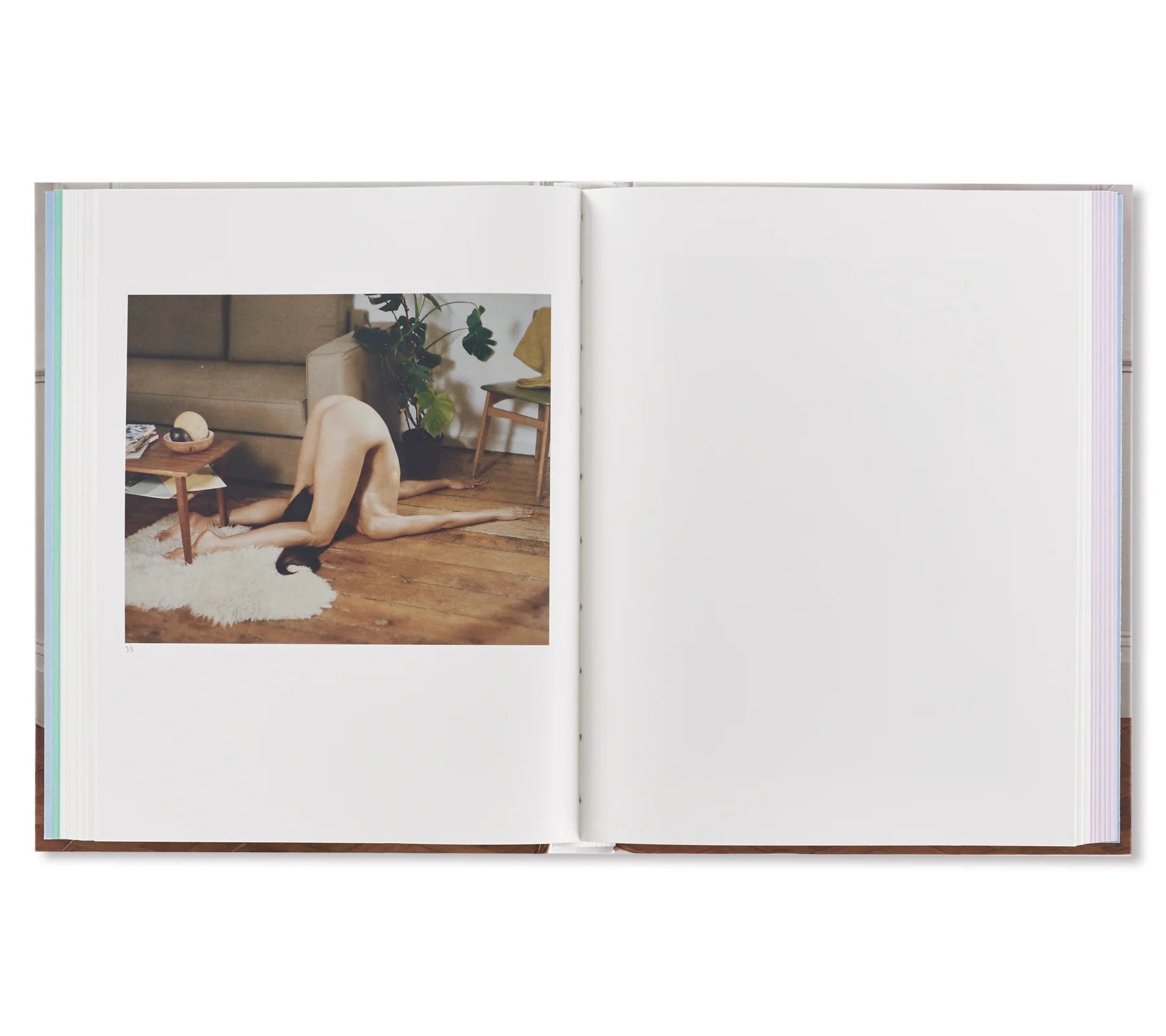 Holly Hay — Posturing