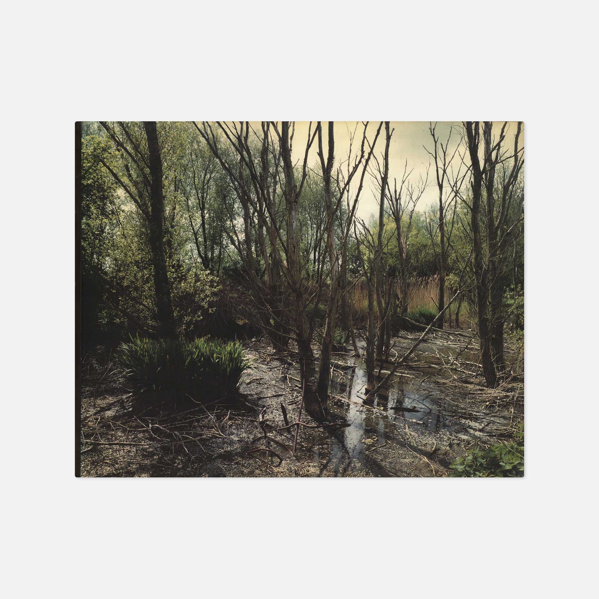 Wout Berger — Giflandschap / Poisoned Landscape