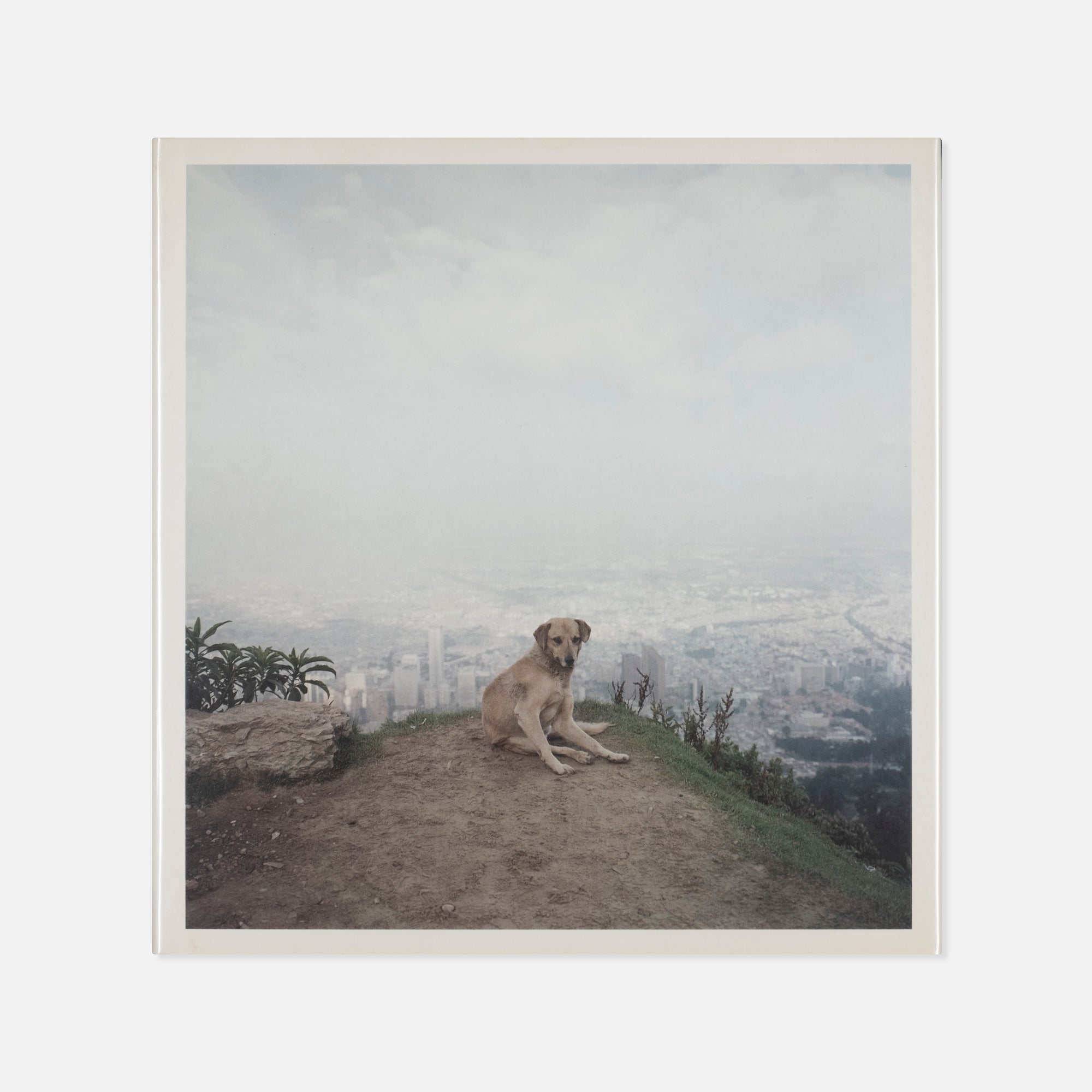 Alec Soth — Dog Days Bogotá