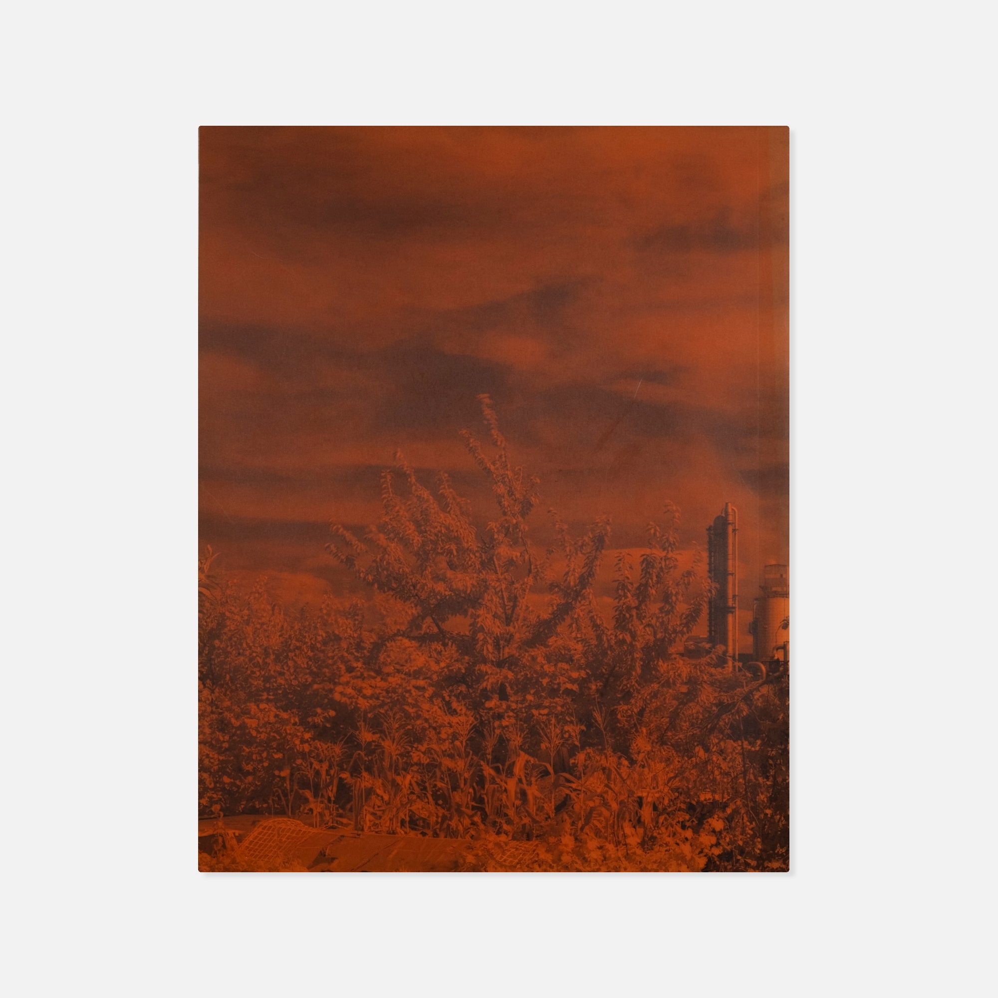 Geert Goiris — Peak Oil