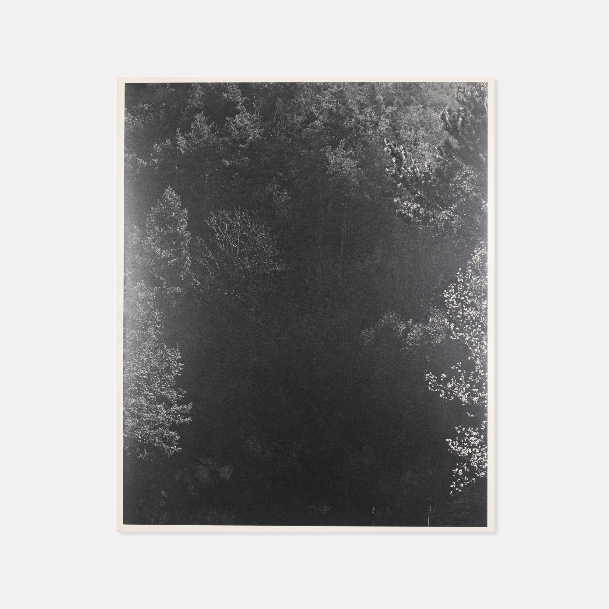 Awoiska van der Molen — Sequester