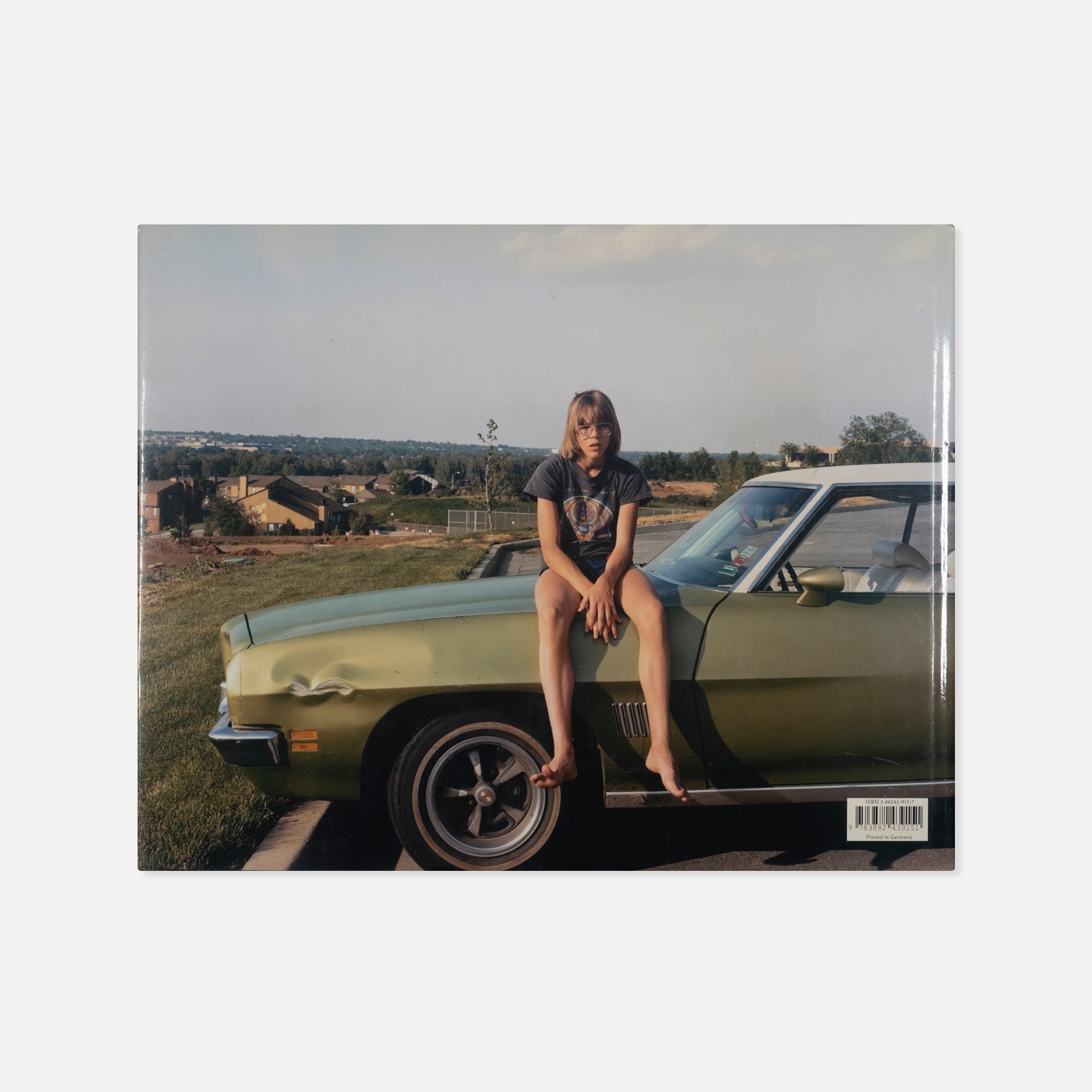 Joel Sternfeld — American Prospects