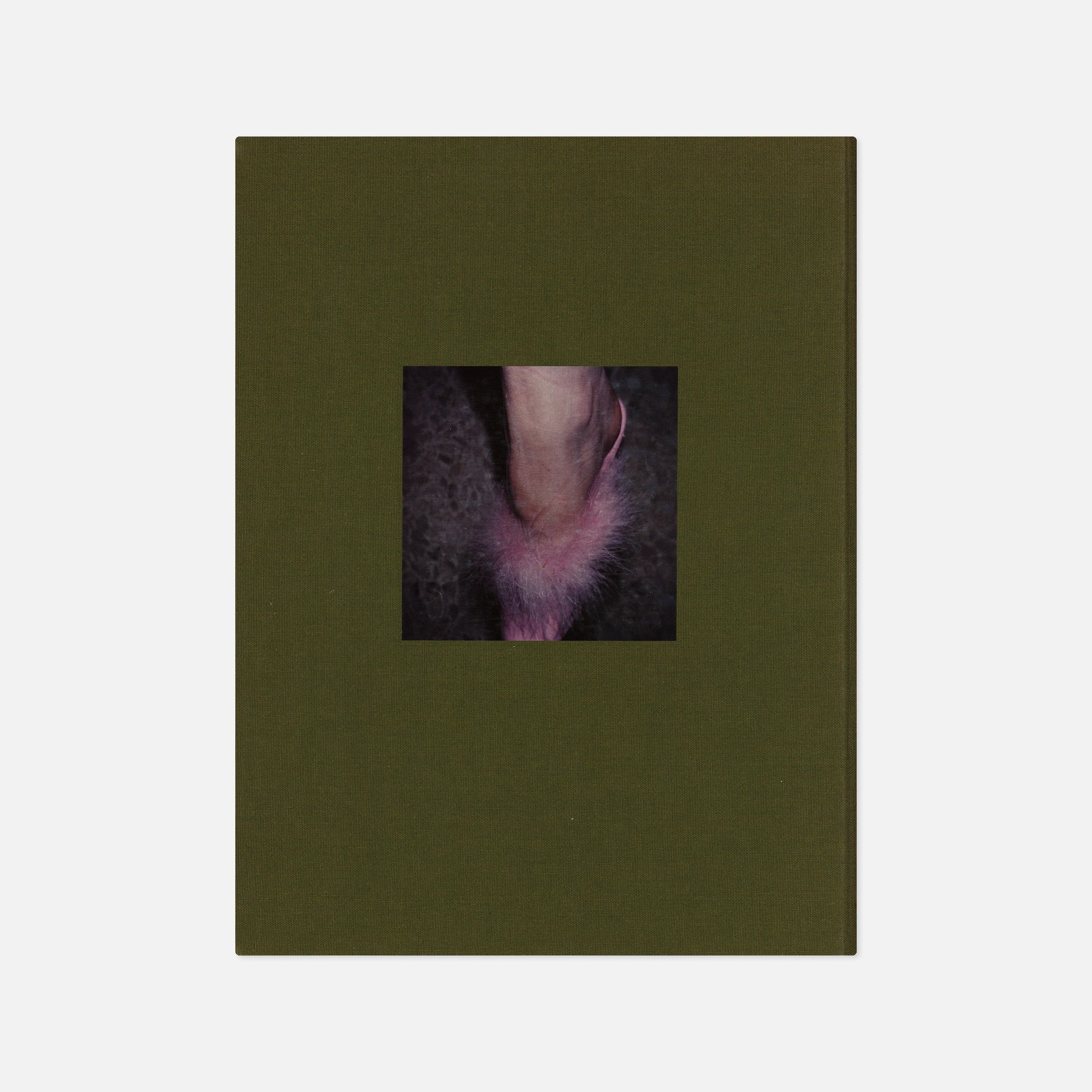 Paul Kooiker — Utrechtse krop