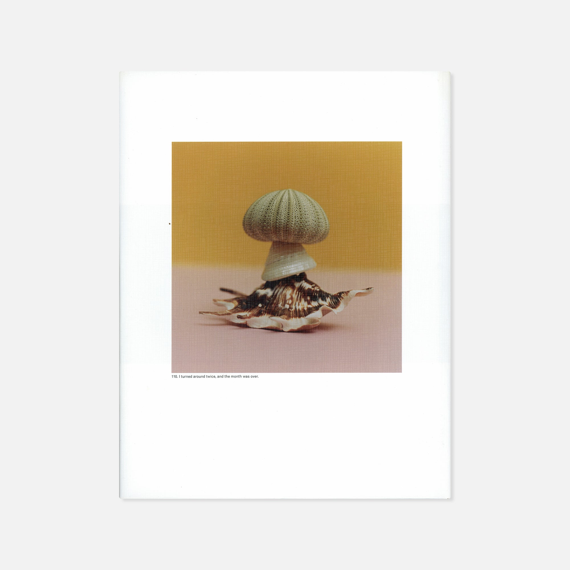 Jason Fulford — The Mushroom Collector