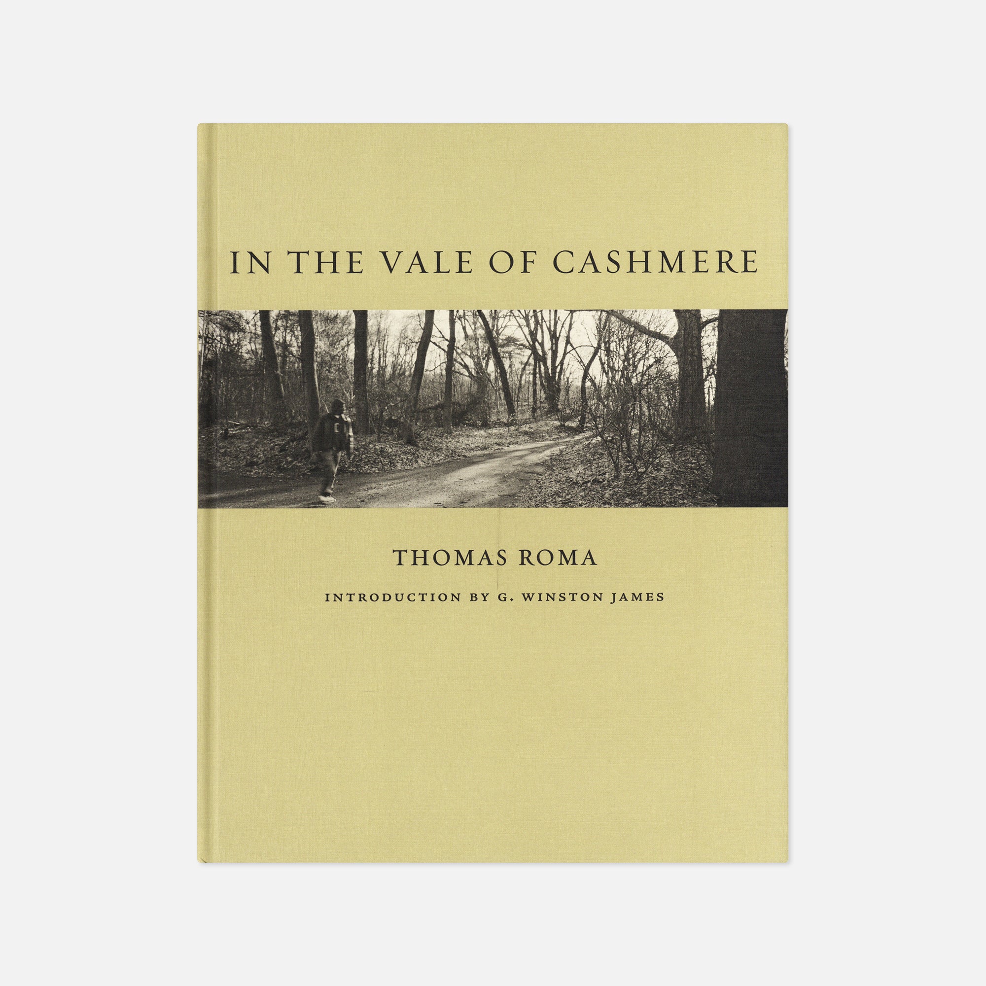 Thomas Roma — In the Vale of Cashmere