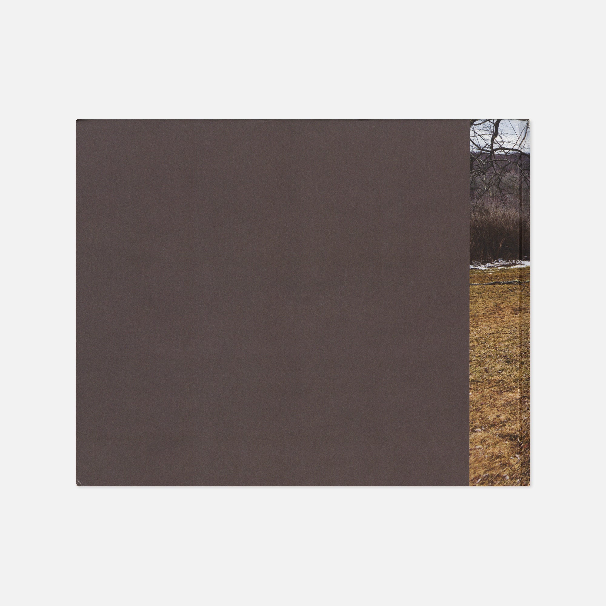 Rachel Papo — Homeschooled