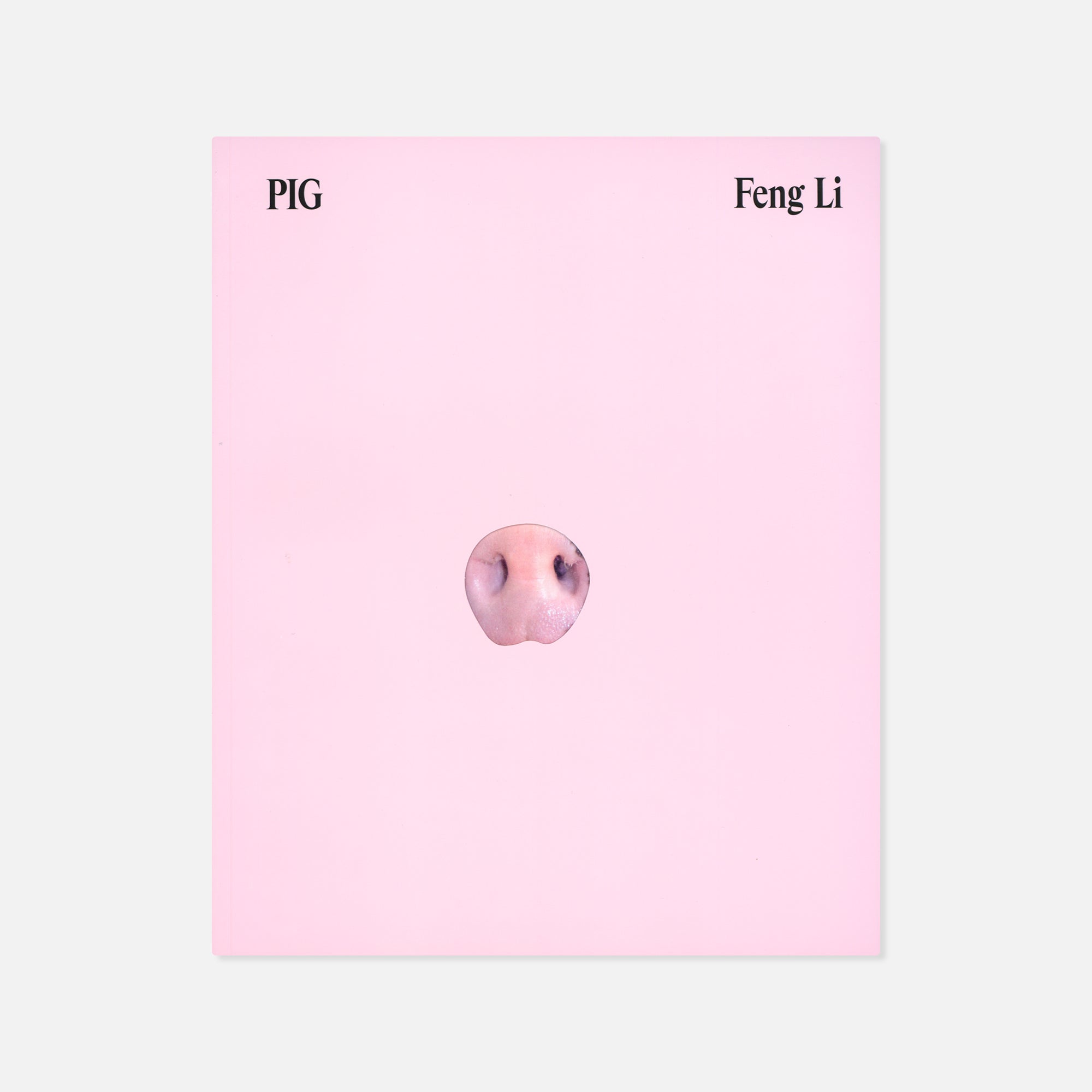 Feng Li — PIG