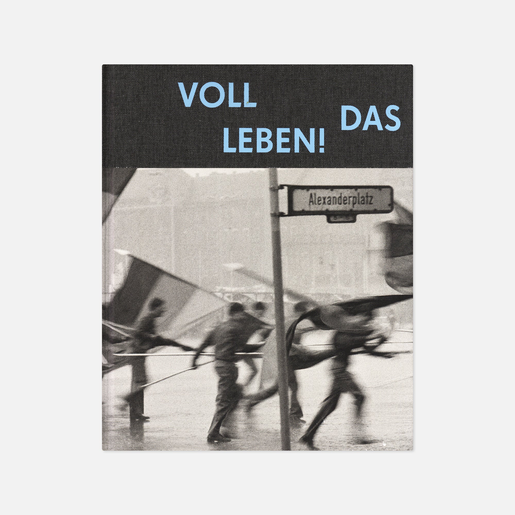 Harald Hauswald — Voll das Leben!