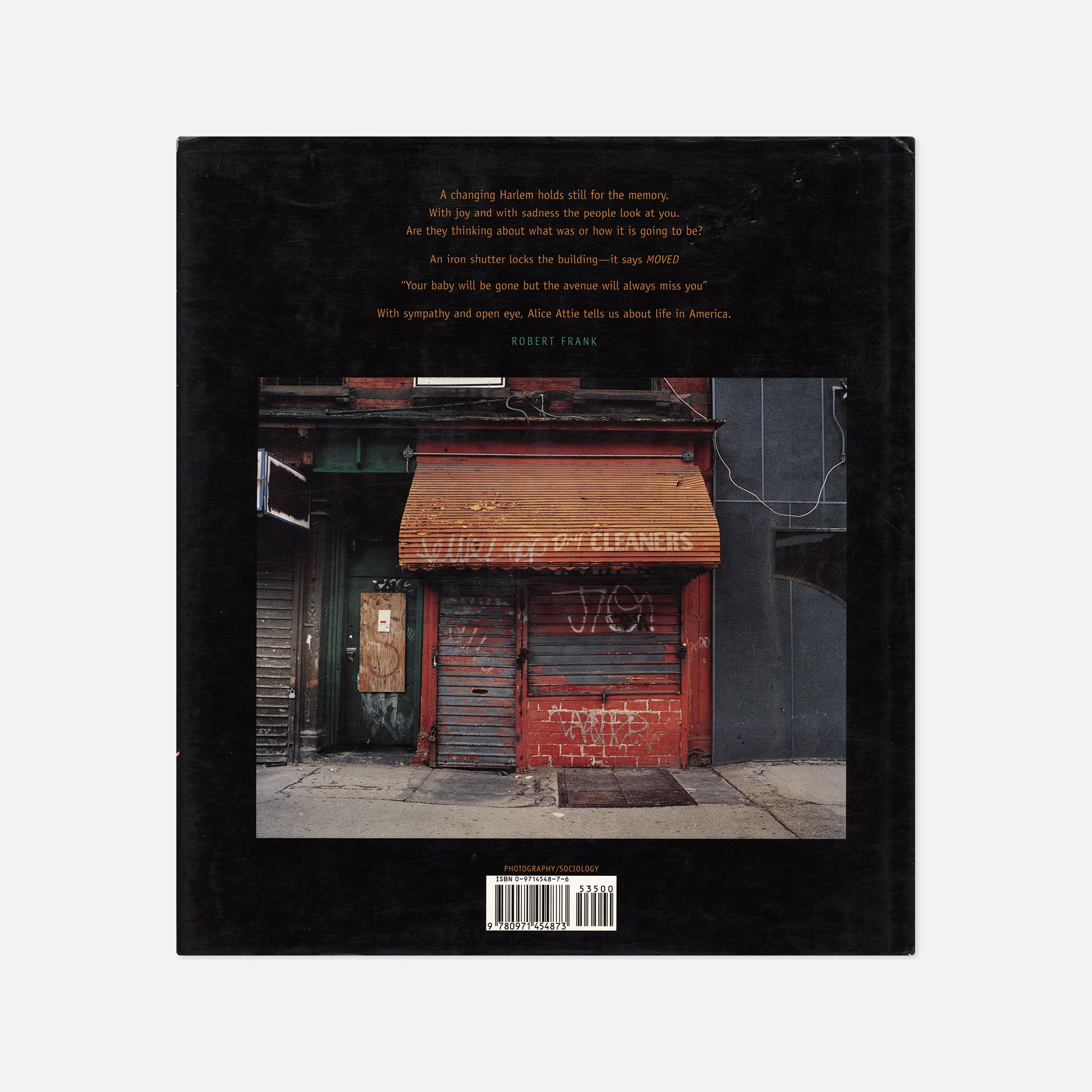 Alice Attie — Harlem on the Verge