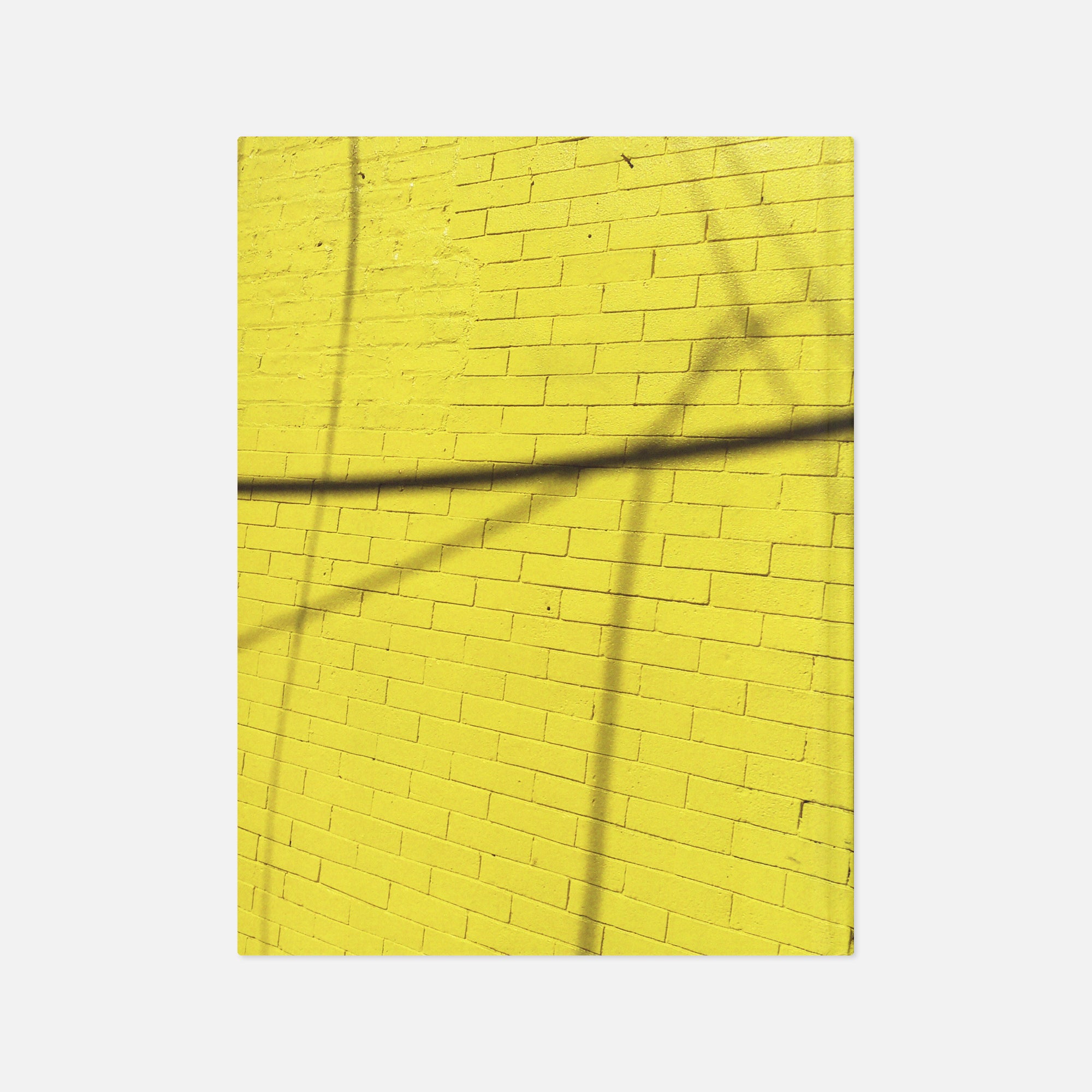 Cara Galowitz — Corona, Queens