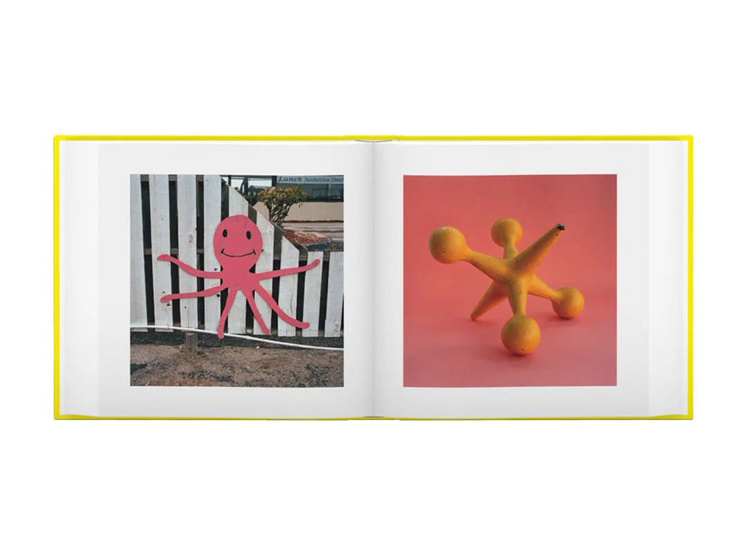 Jason Fulford & Tamara Shopshin — This Equals That