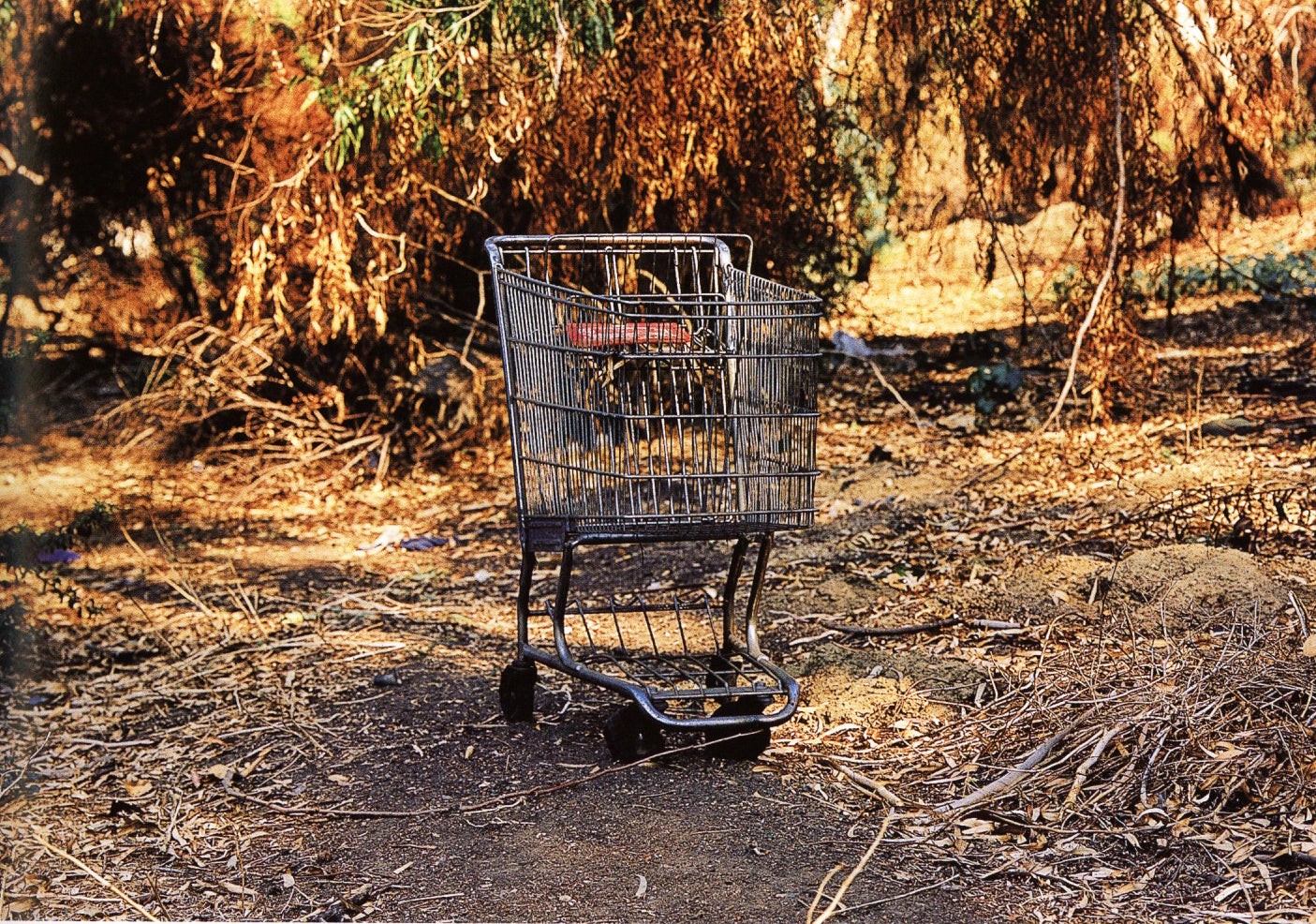 Anthony Hernandez — Sons of Adam: Landscapes for the Homeless II