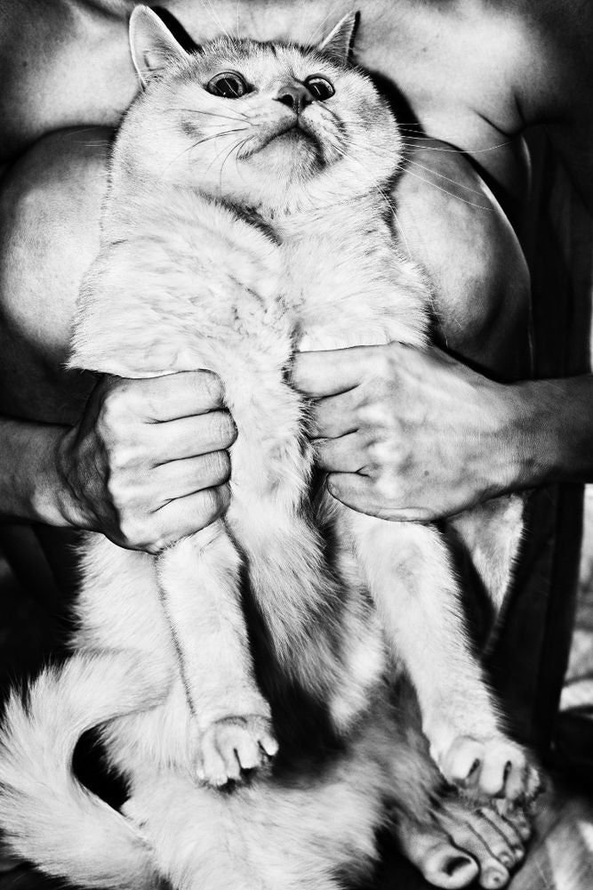 Anders Petersen & Jacob Aue Sobol — Veins