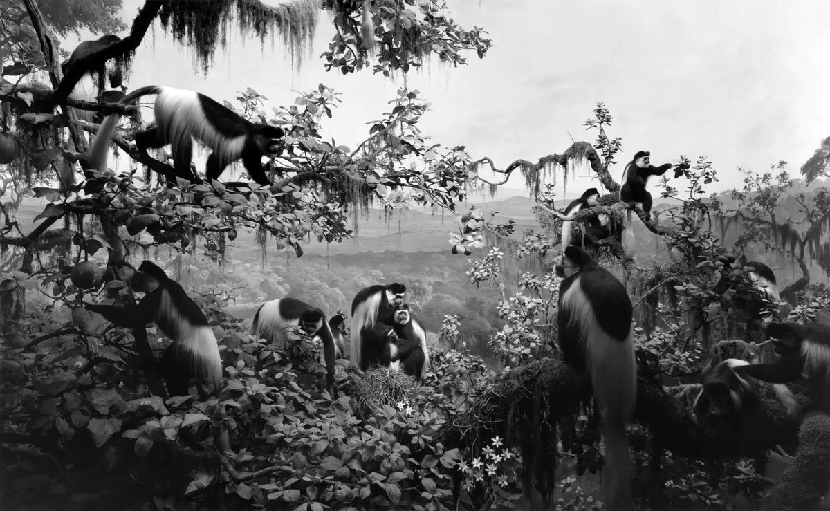 Hiroshi Sugimoto — Dioramas
