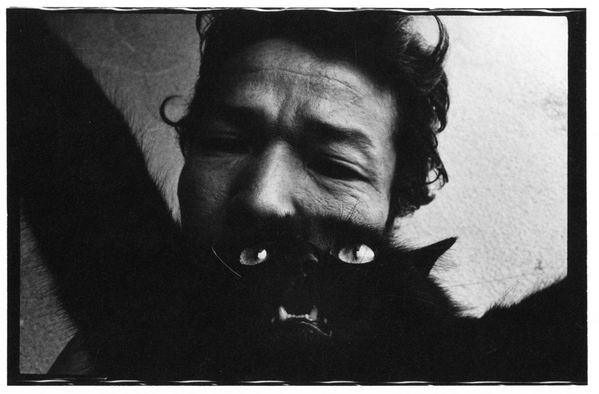 Masahisa Fukase — Wonderful Days
