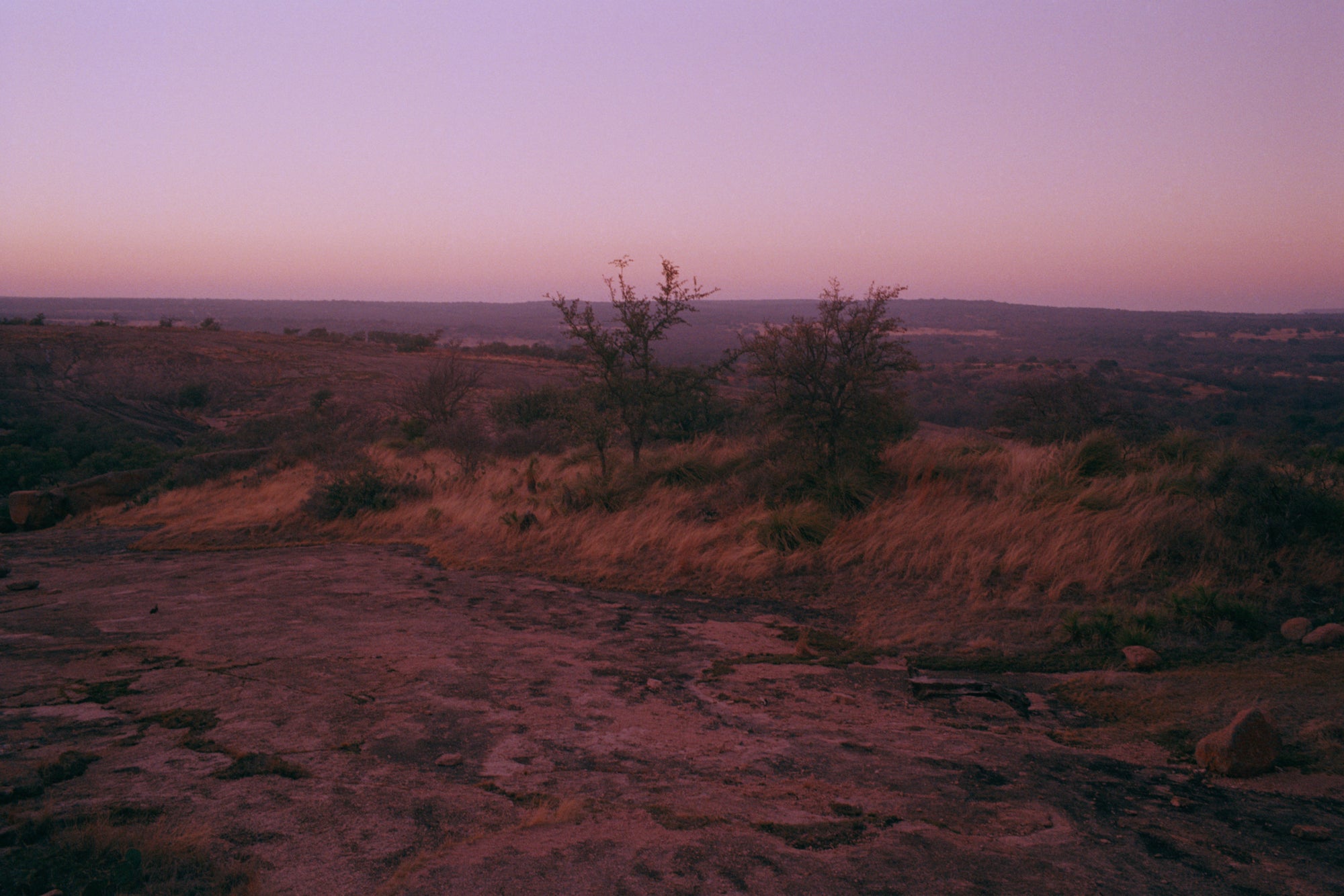 Coley Brown — A Recurring Dream