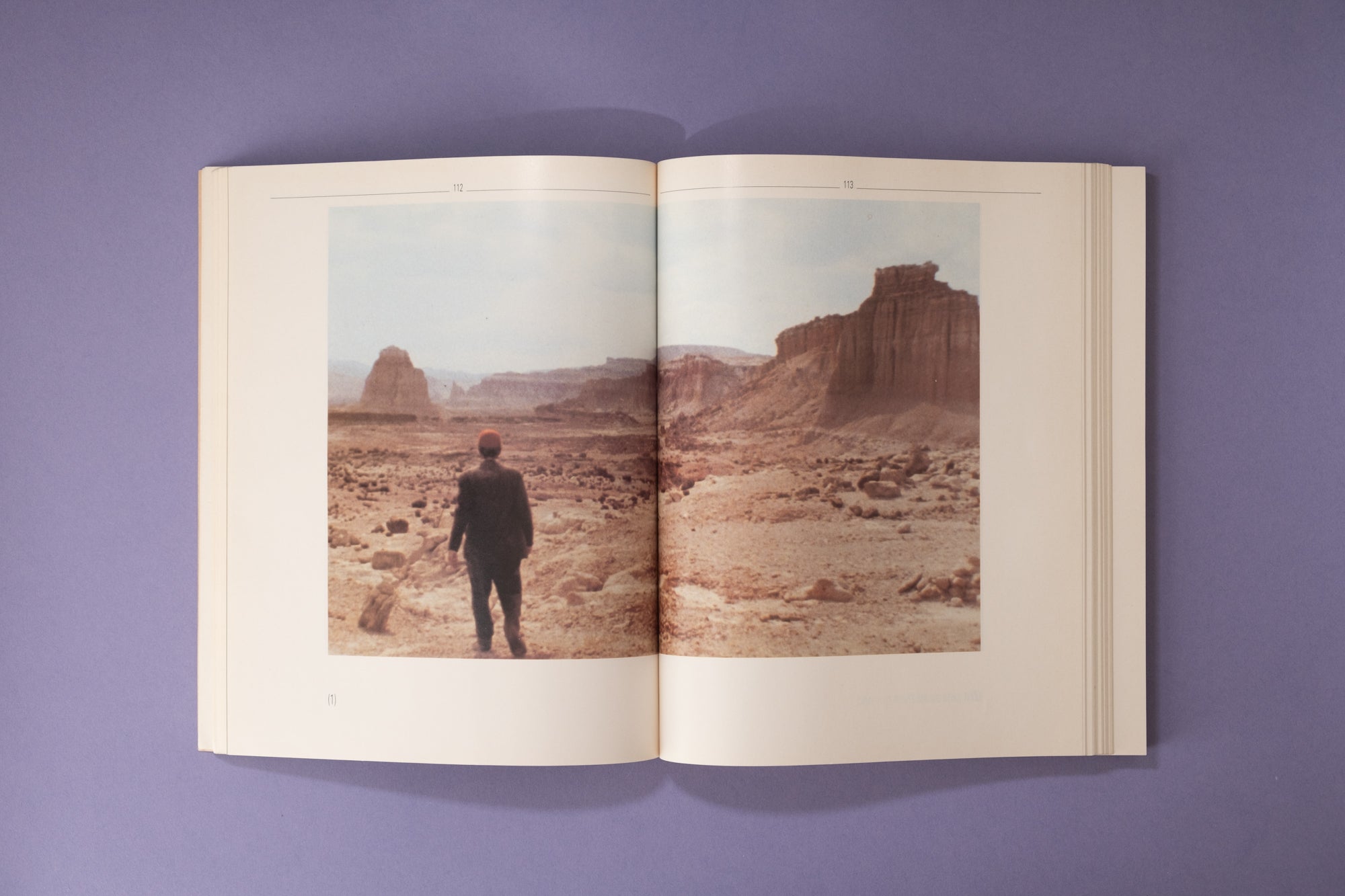 Wim Wenders — Paris, Texas