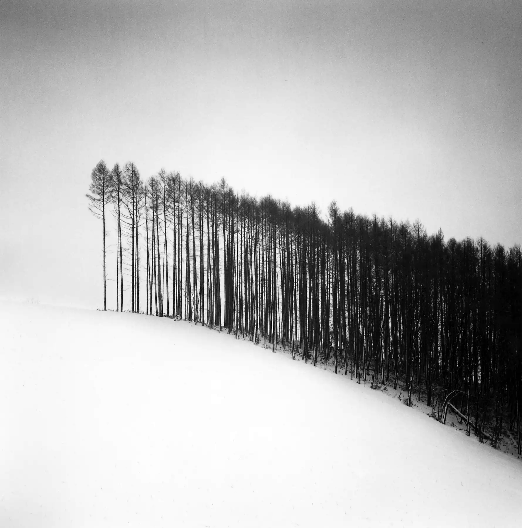 Michael Kenna — Images of the Seventh Day