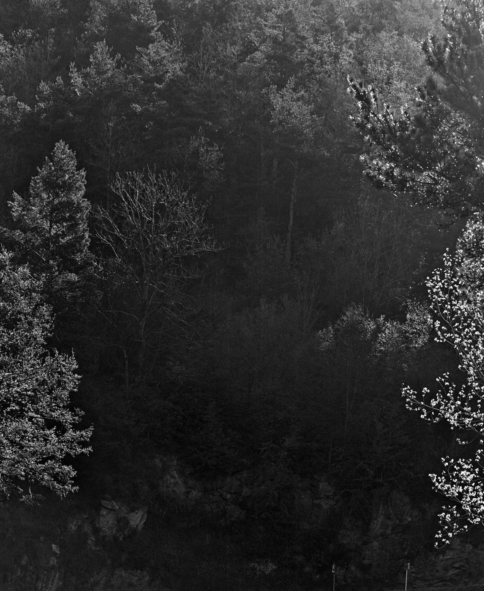 Awoiska van der Molen — Sequester