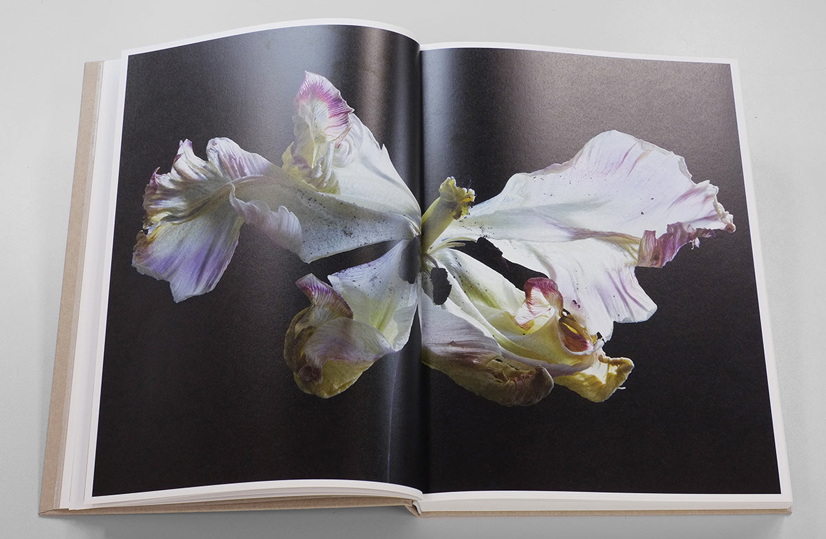 Carla van de Puttelaar — Adornments