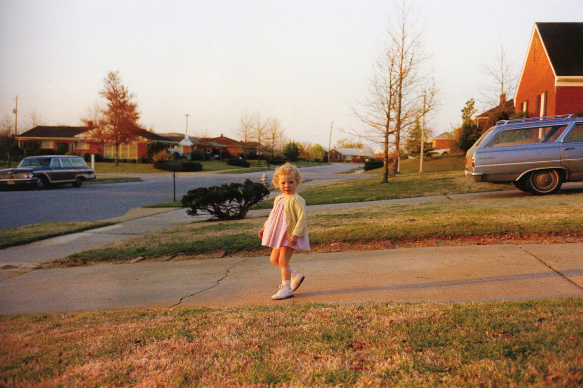 William Eggleston — For Now
