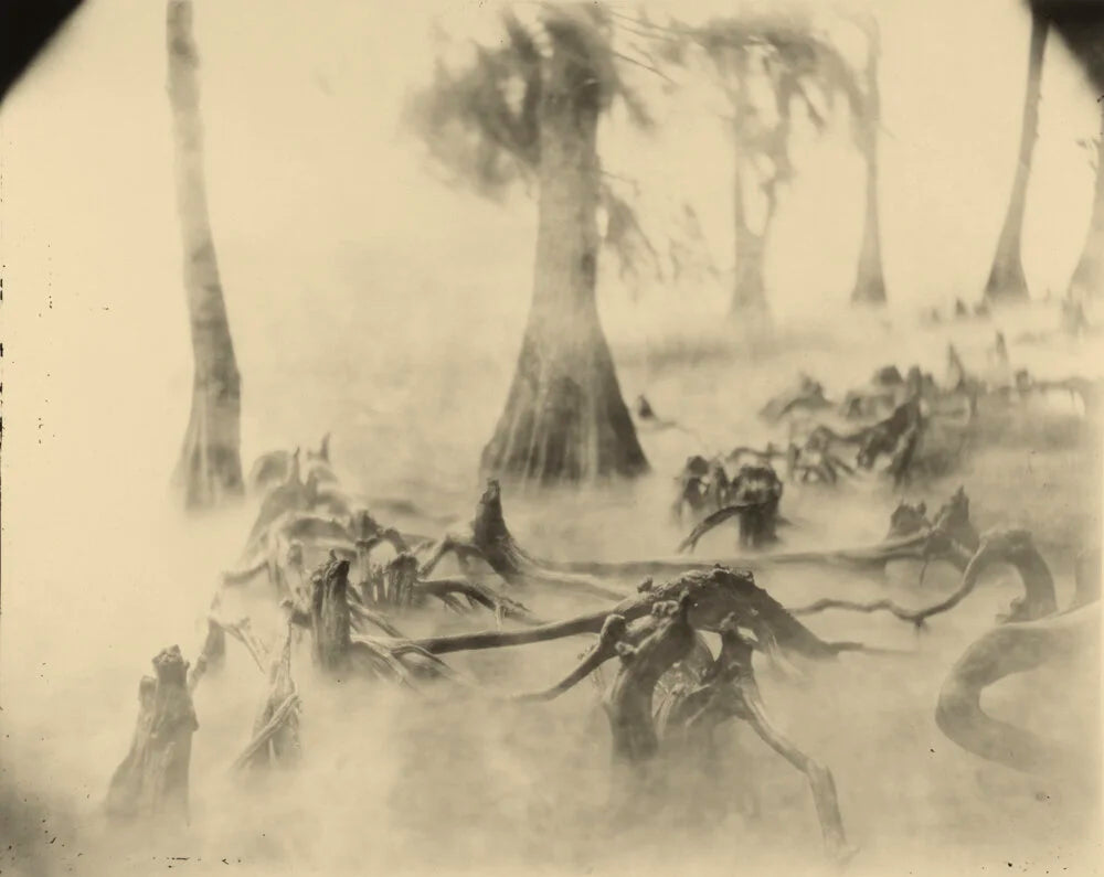 Sally Mann — Deep South