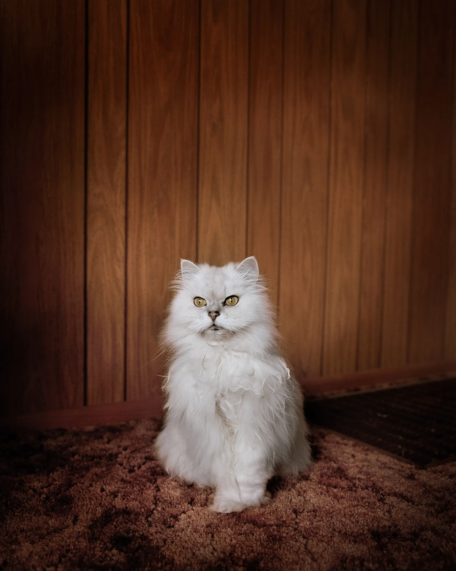 Todd Hido — Intimate Distance