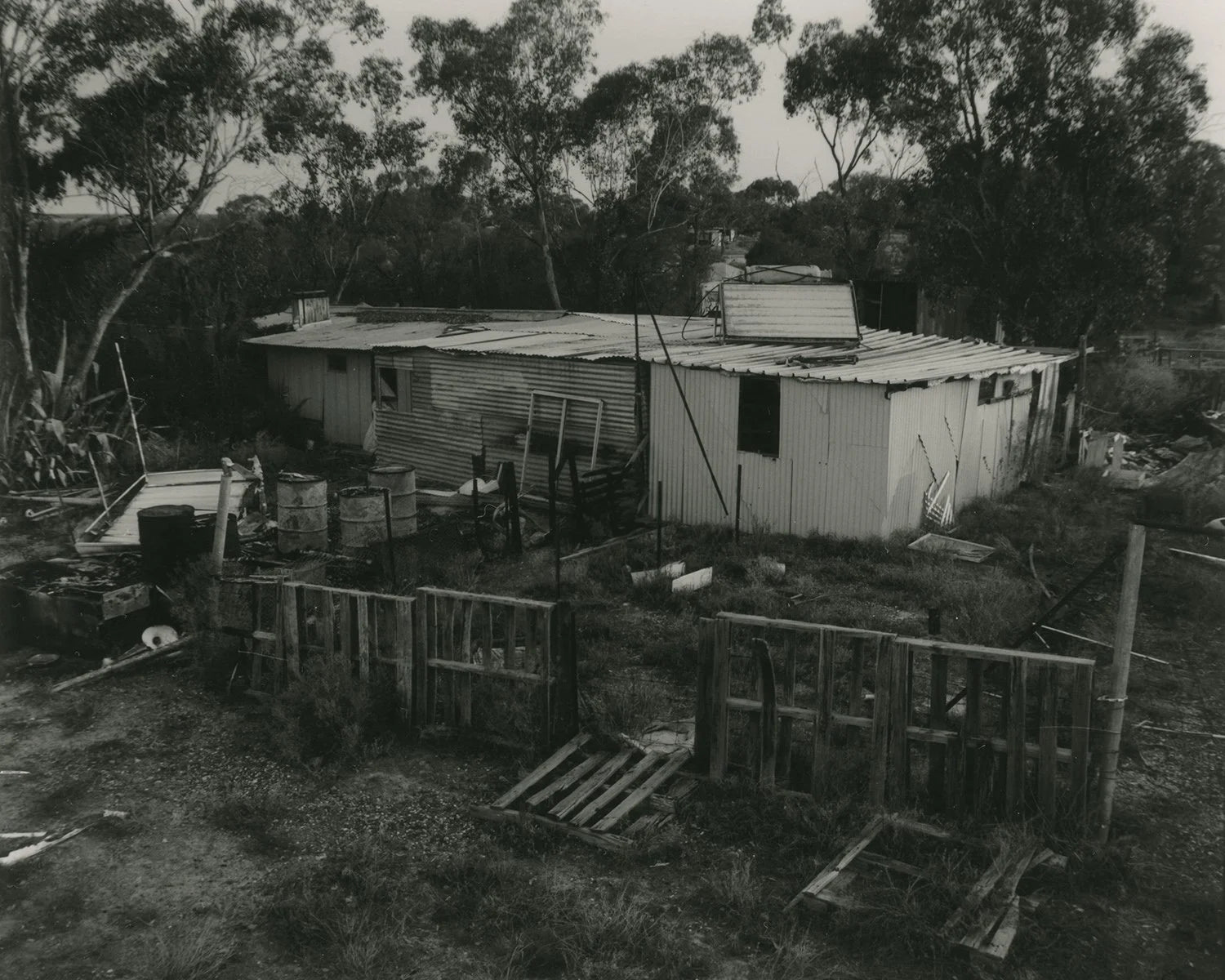 Rory King — Gumsucker