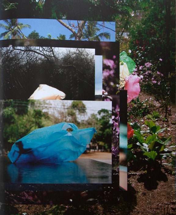 Elspeth Diederix — Things – As They Are